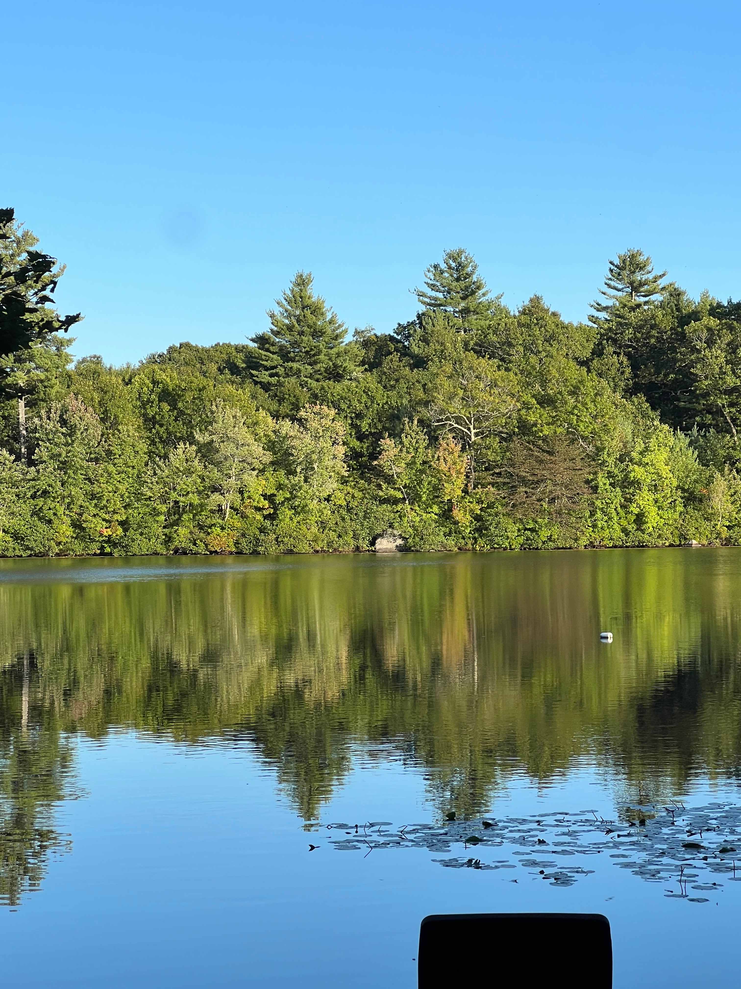 Vintage camper, waterfront &firepit