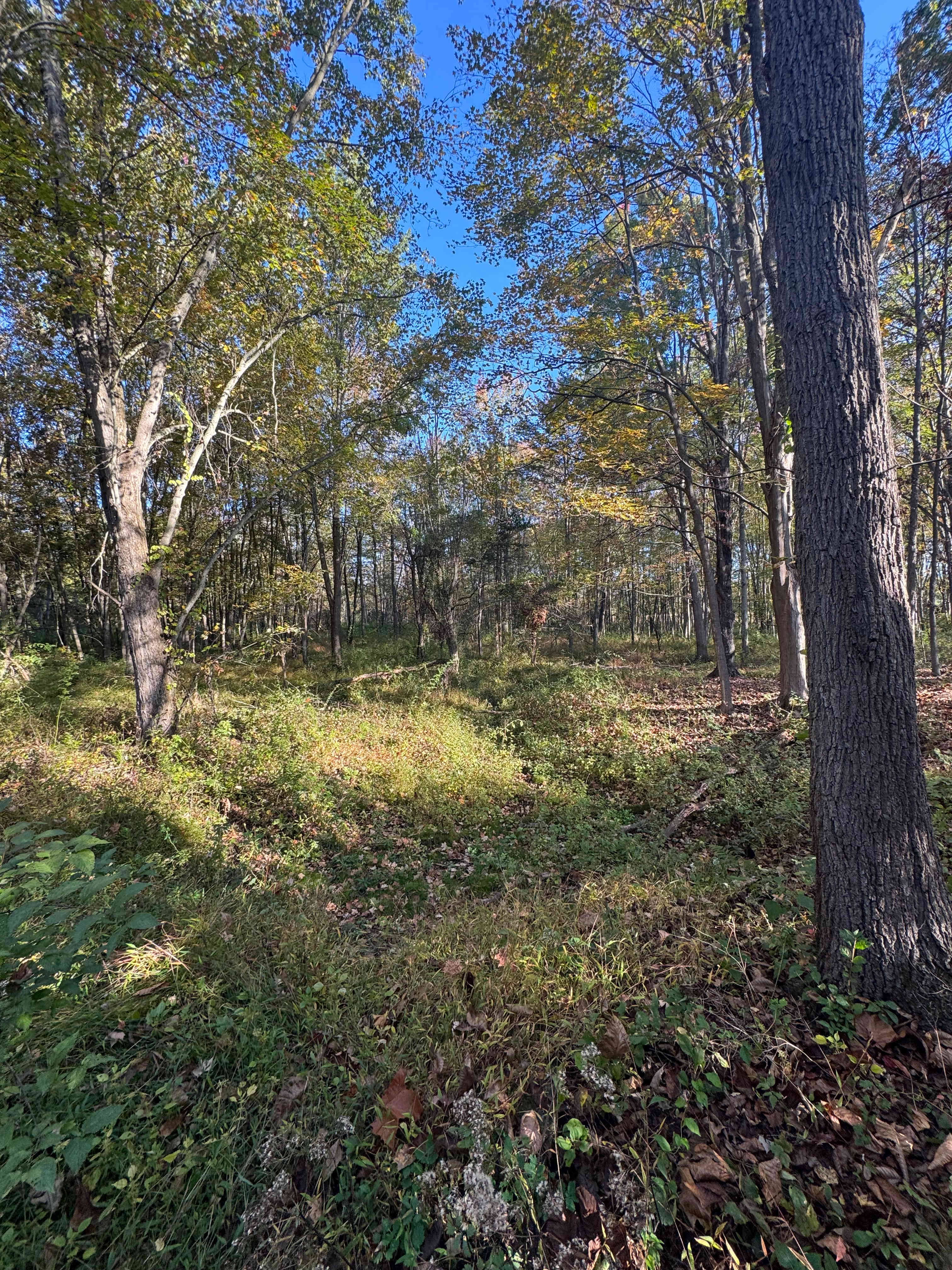 Apothecary Gardens NY