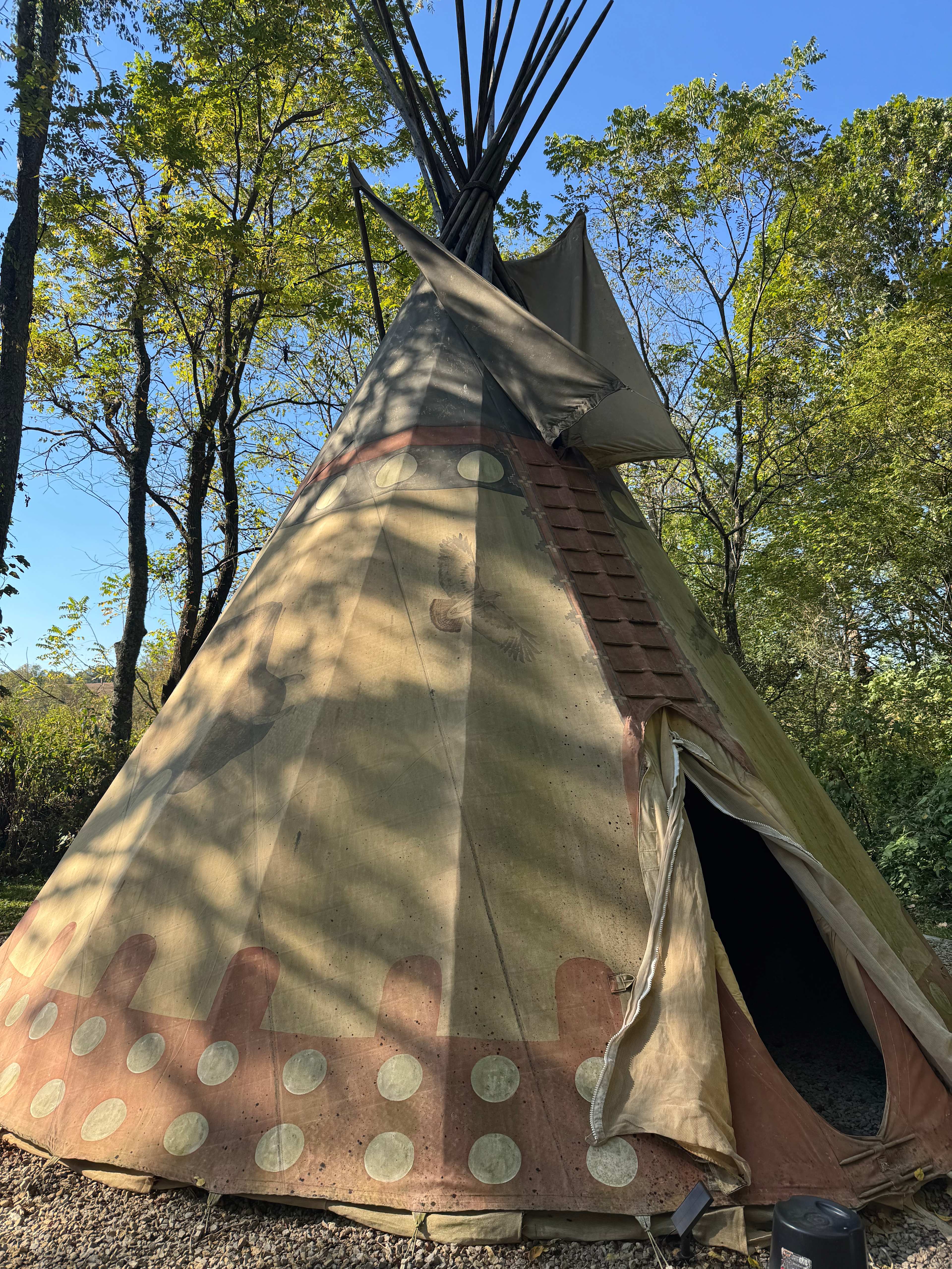 Bison Tipi