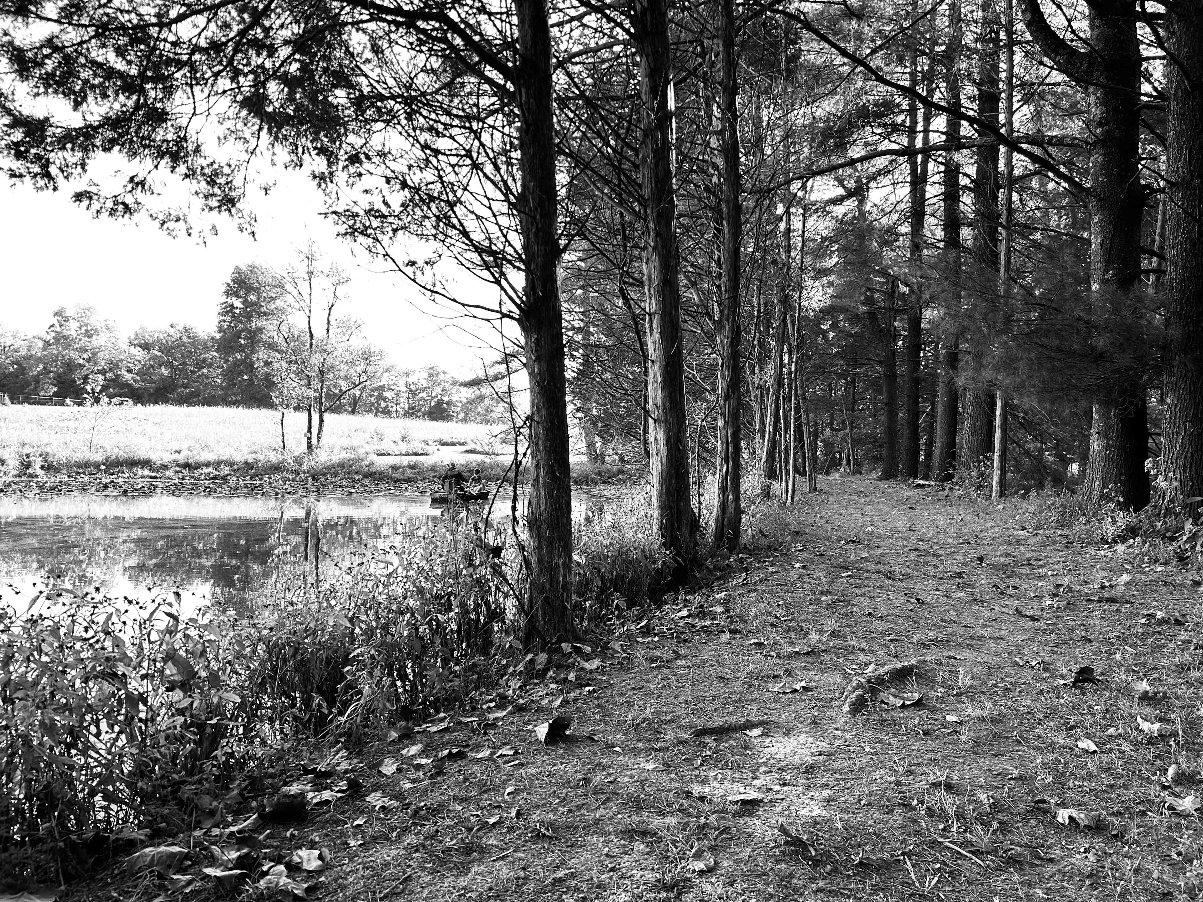 Nayture's Hilltop Farm