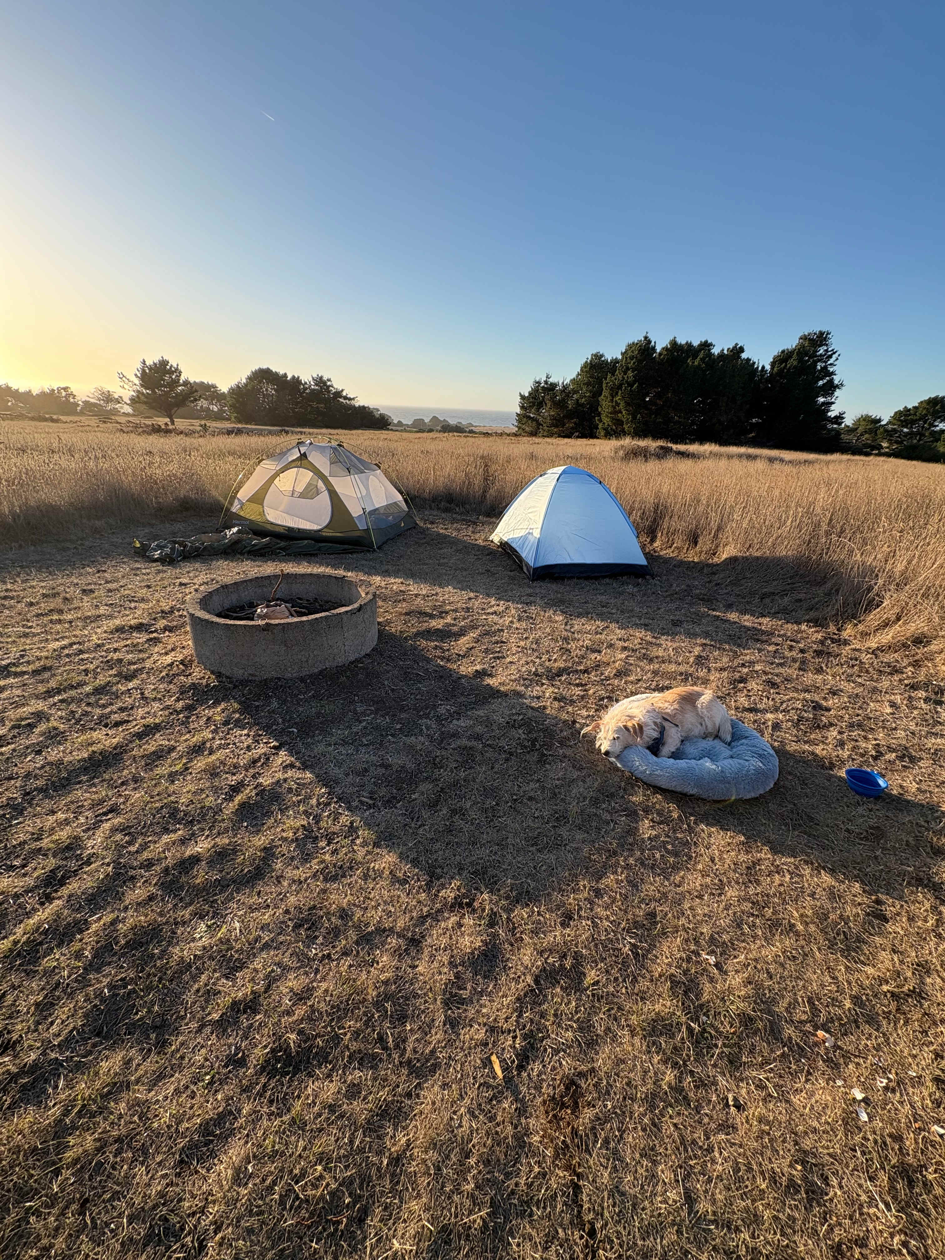 New Pine Grove Campground