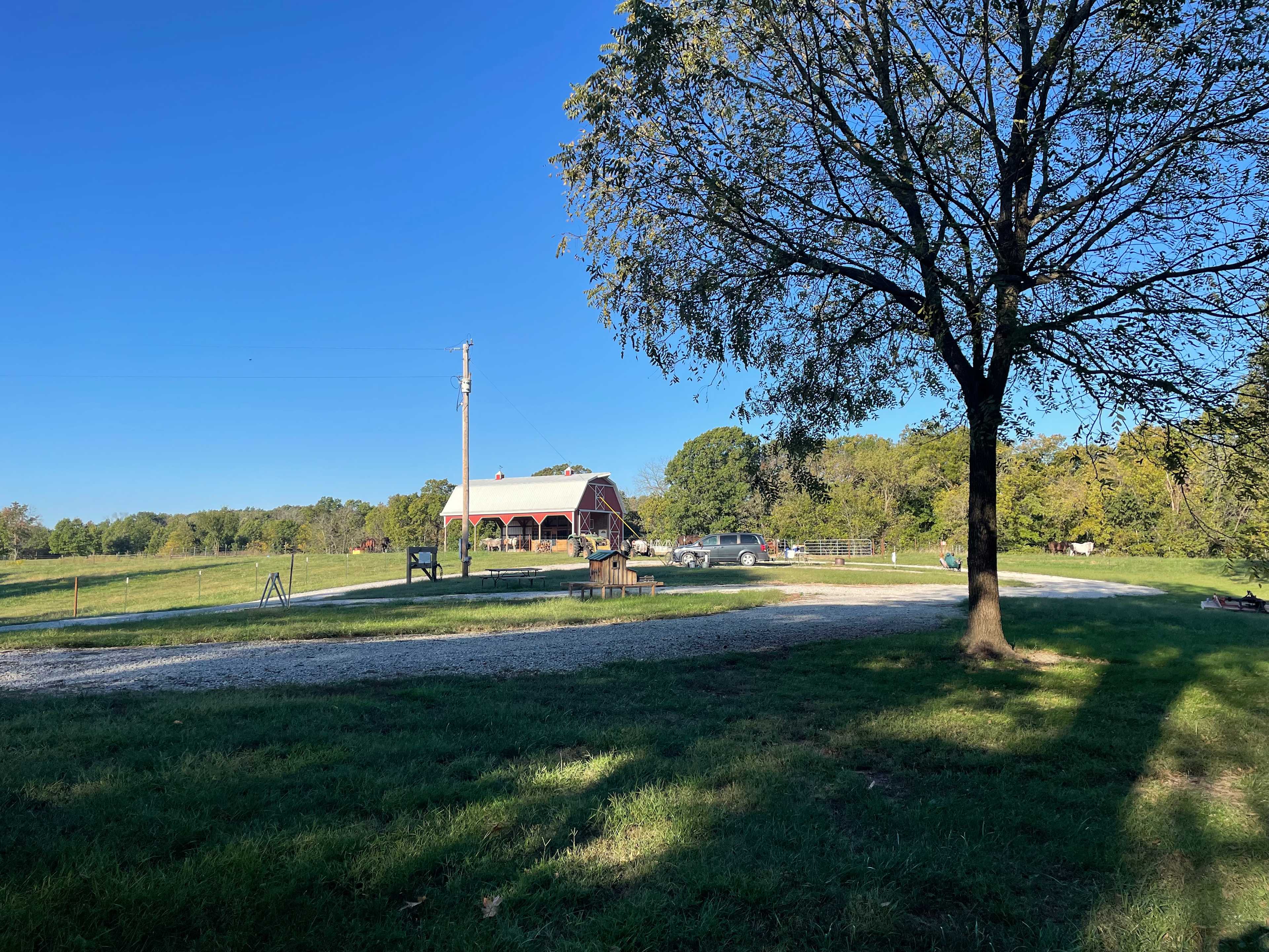 Selby Farm Horse Retirement