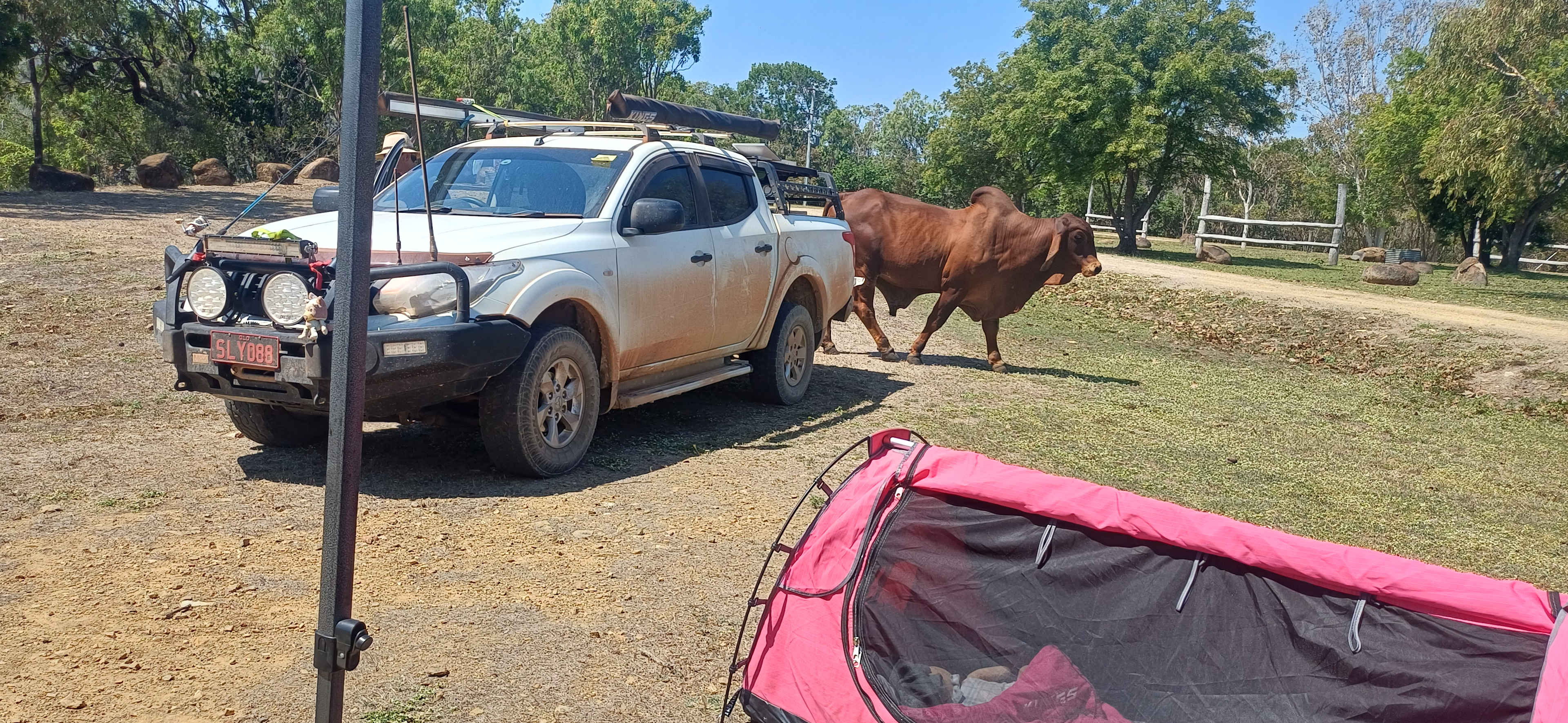 Lakeland Downs Camping
