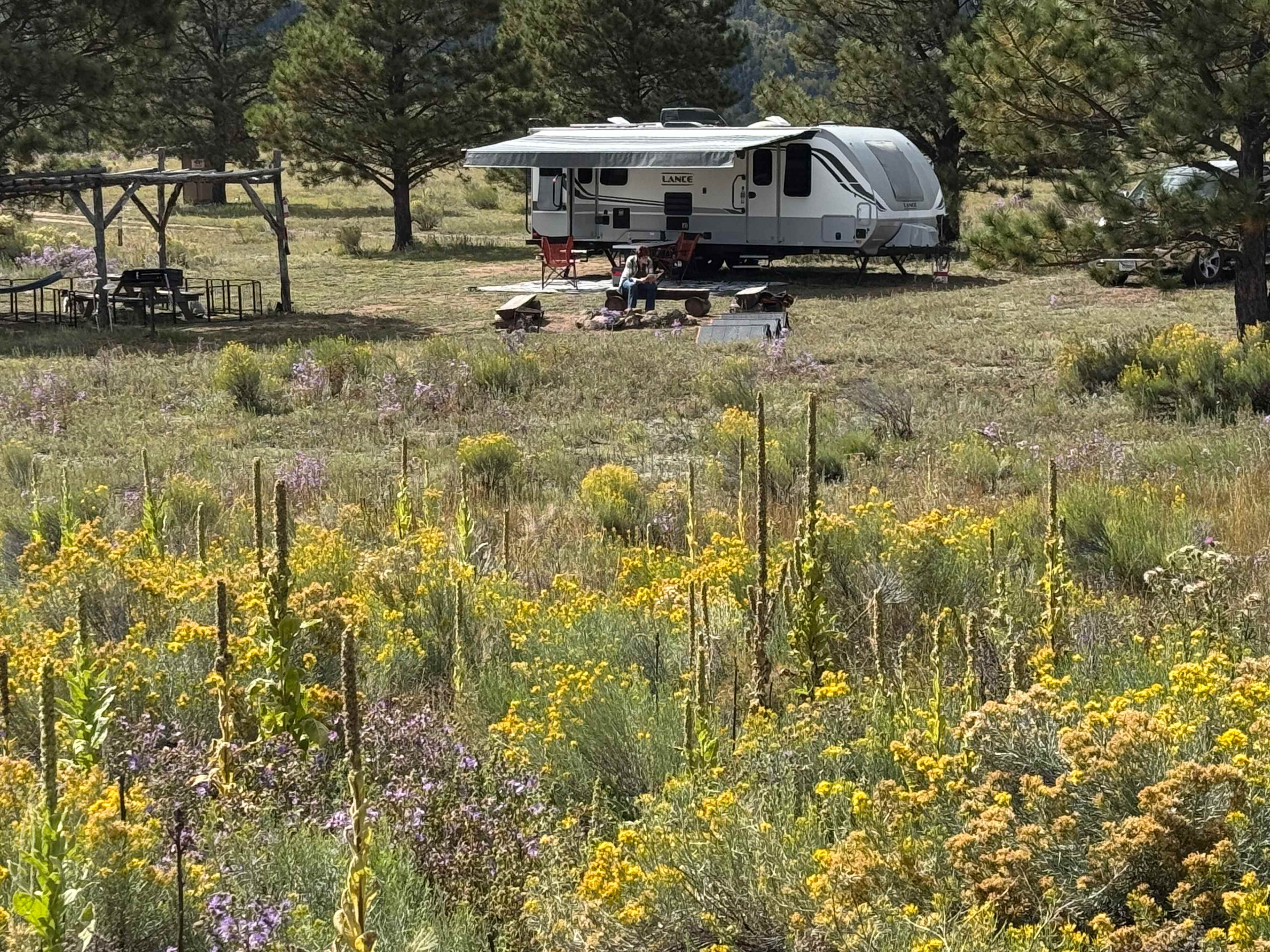 Picture of the site
