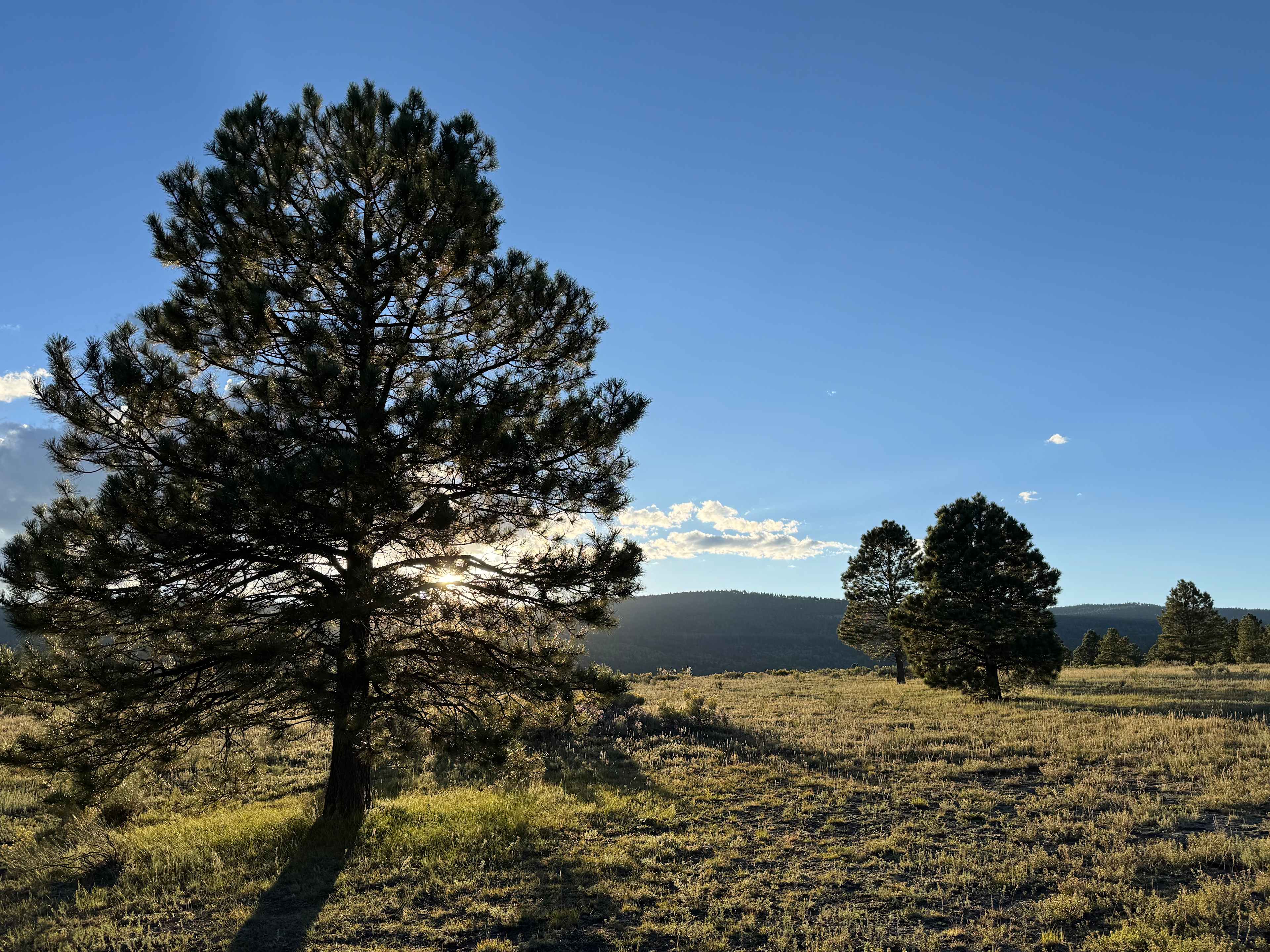 Enchanted Circle Campground (E<<)