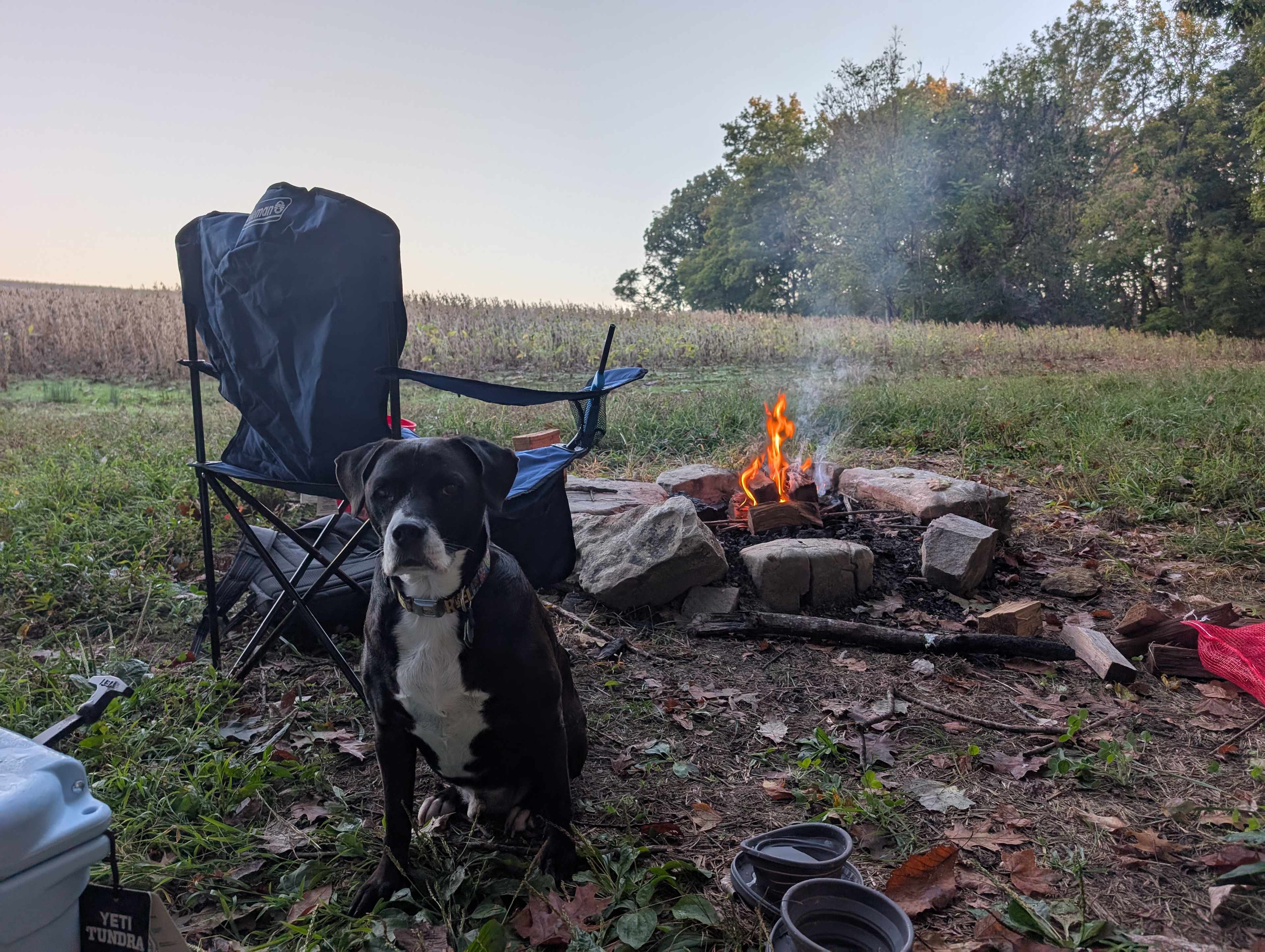 On the back of the farm