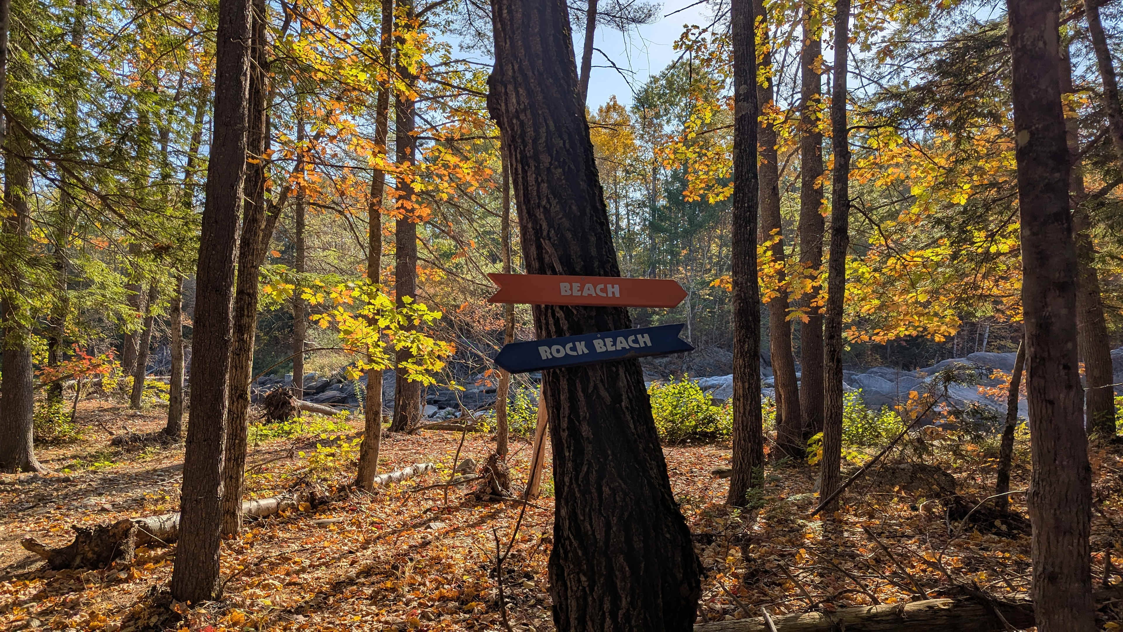 🌲 40 Acres Of Riverfront Serenity