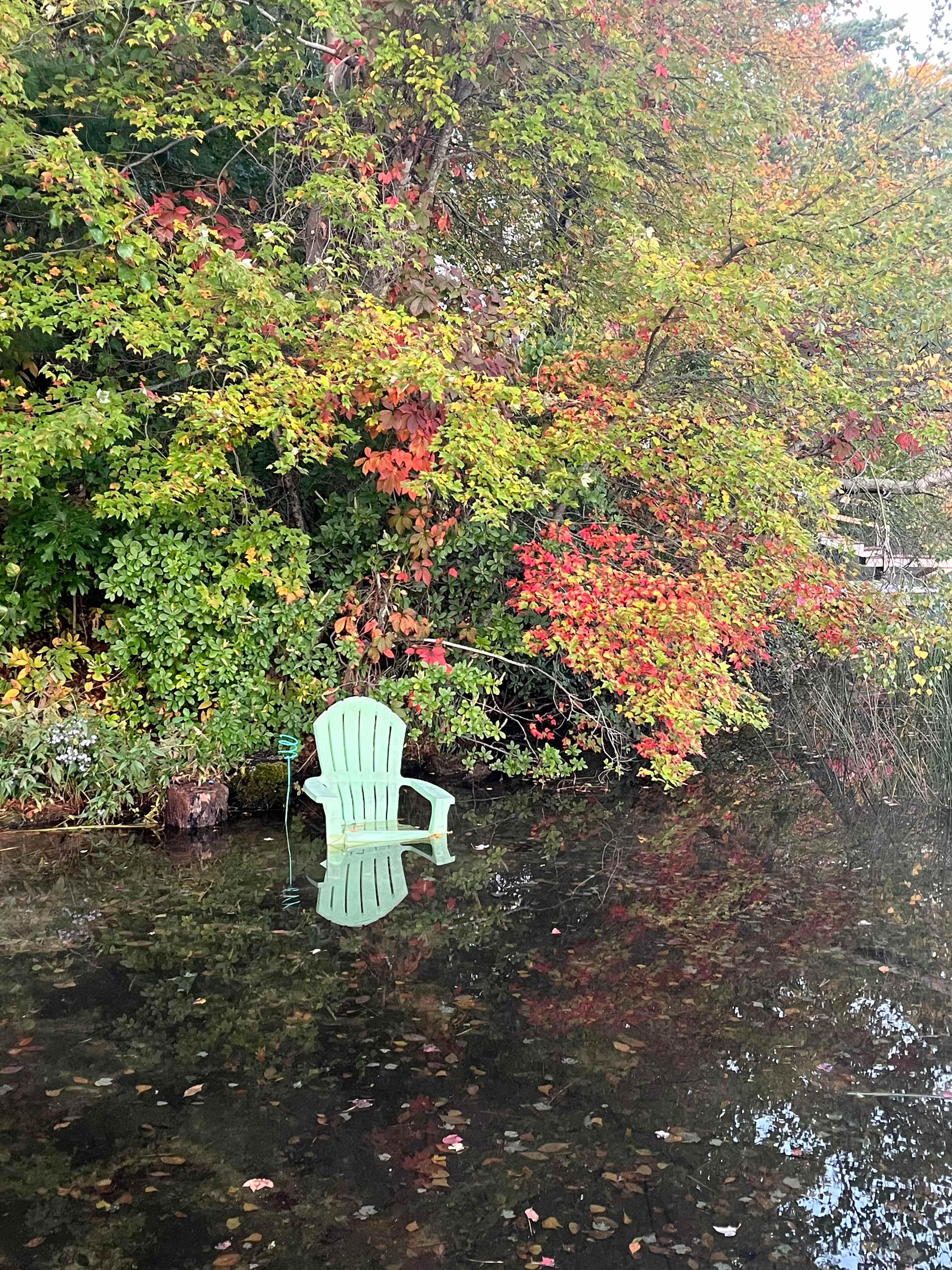 Waterfront cabin 10minutes Cape Cod
