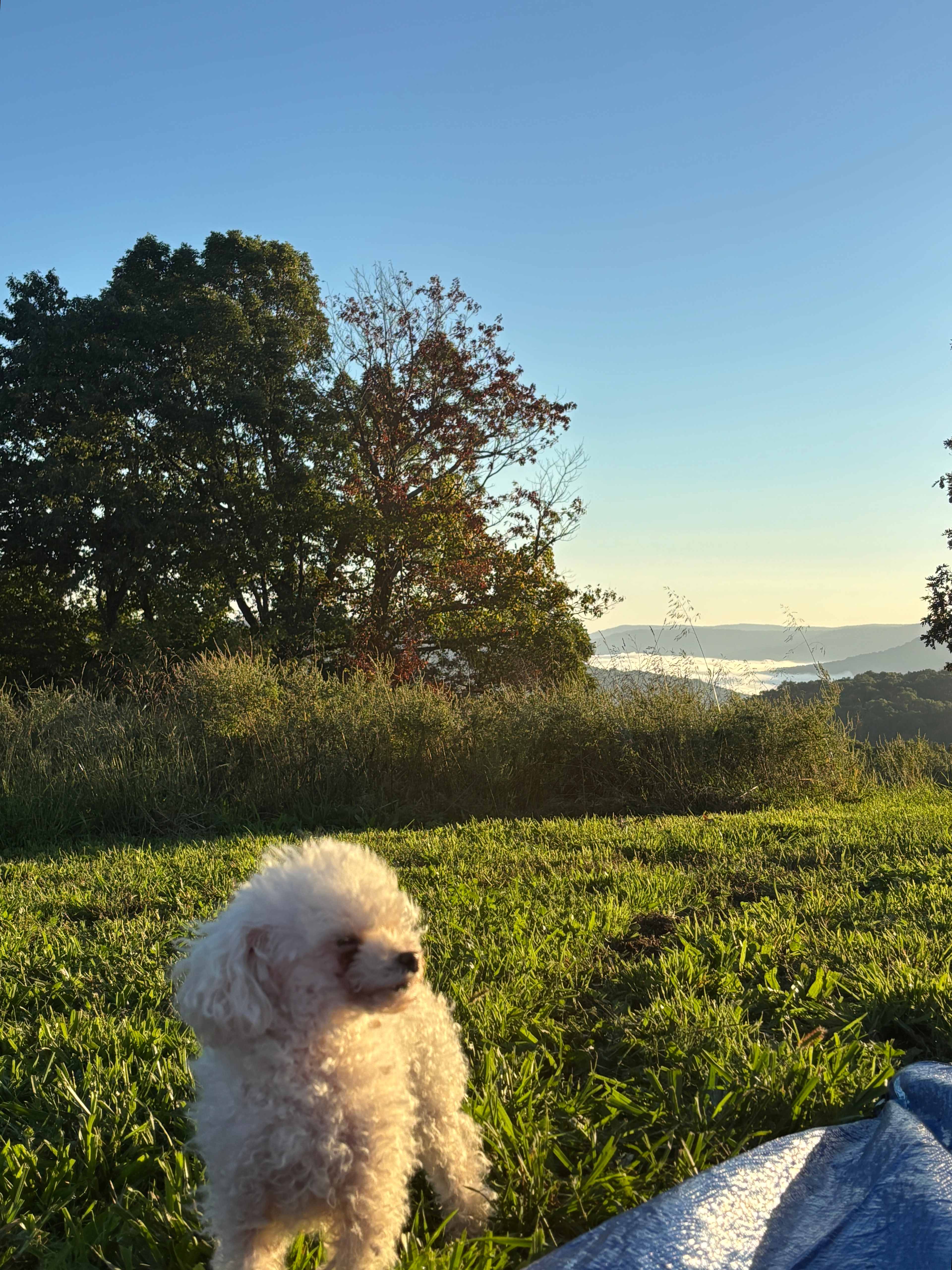 Wilderness Rider Buffalo Ranch