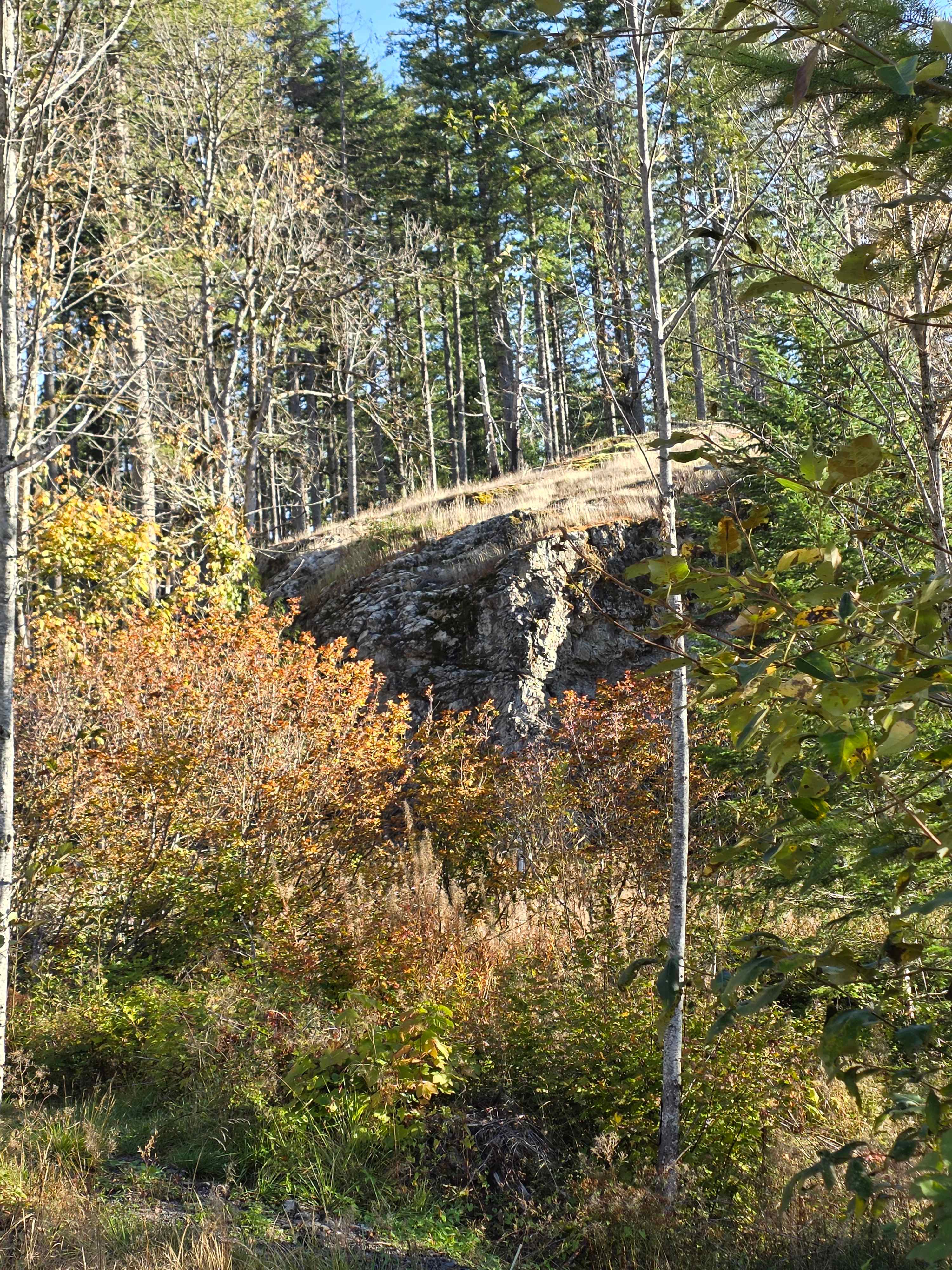 Earth Biscuits Skykomish Campground