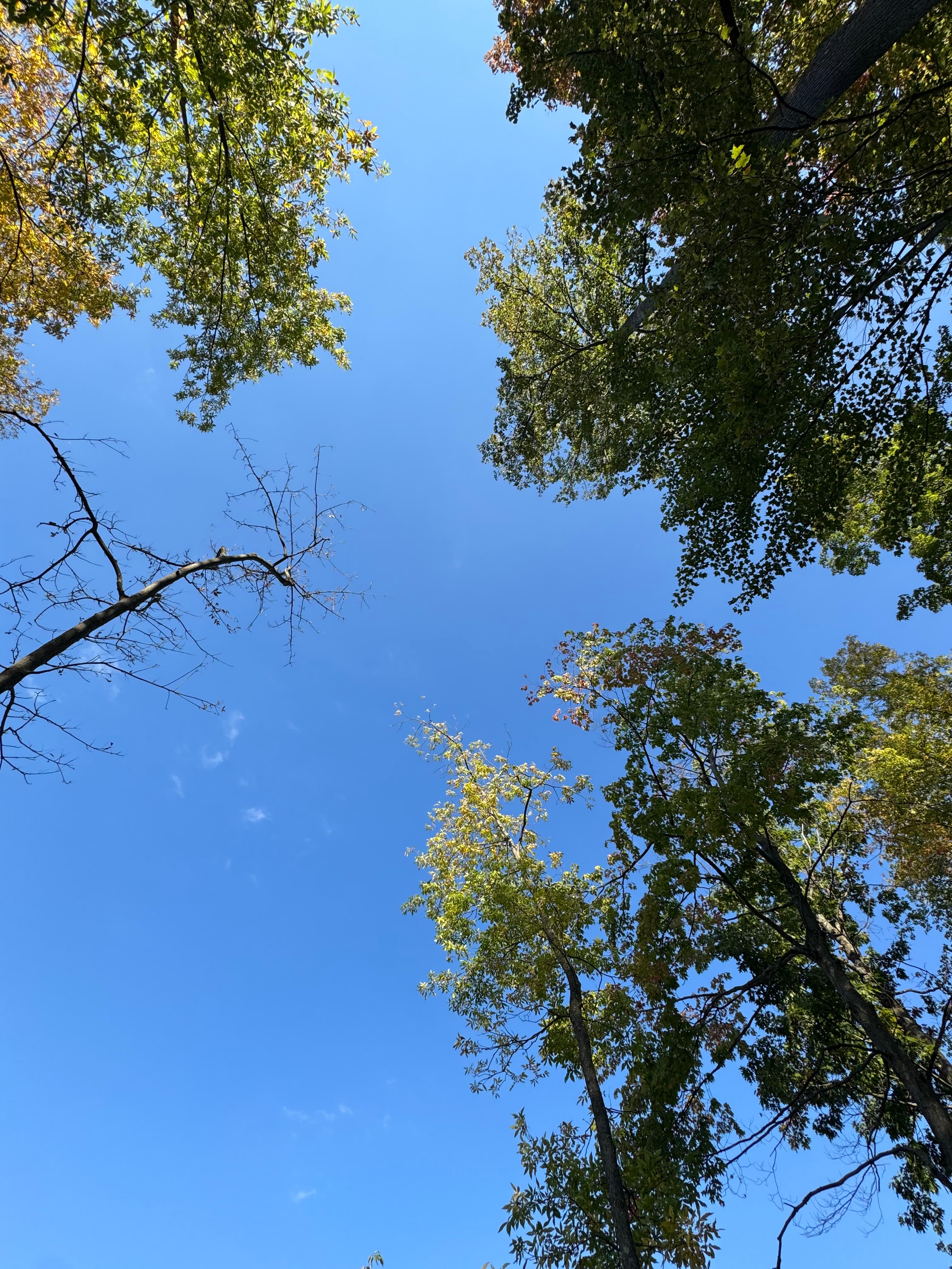 Provision Family Farms