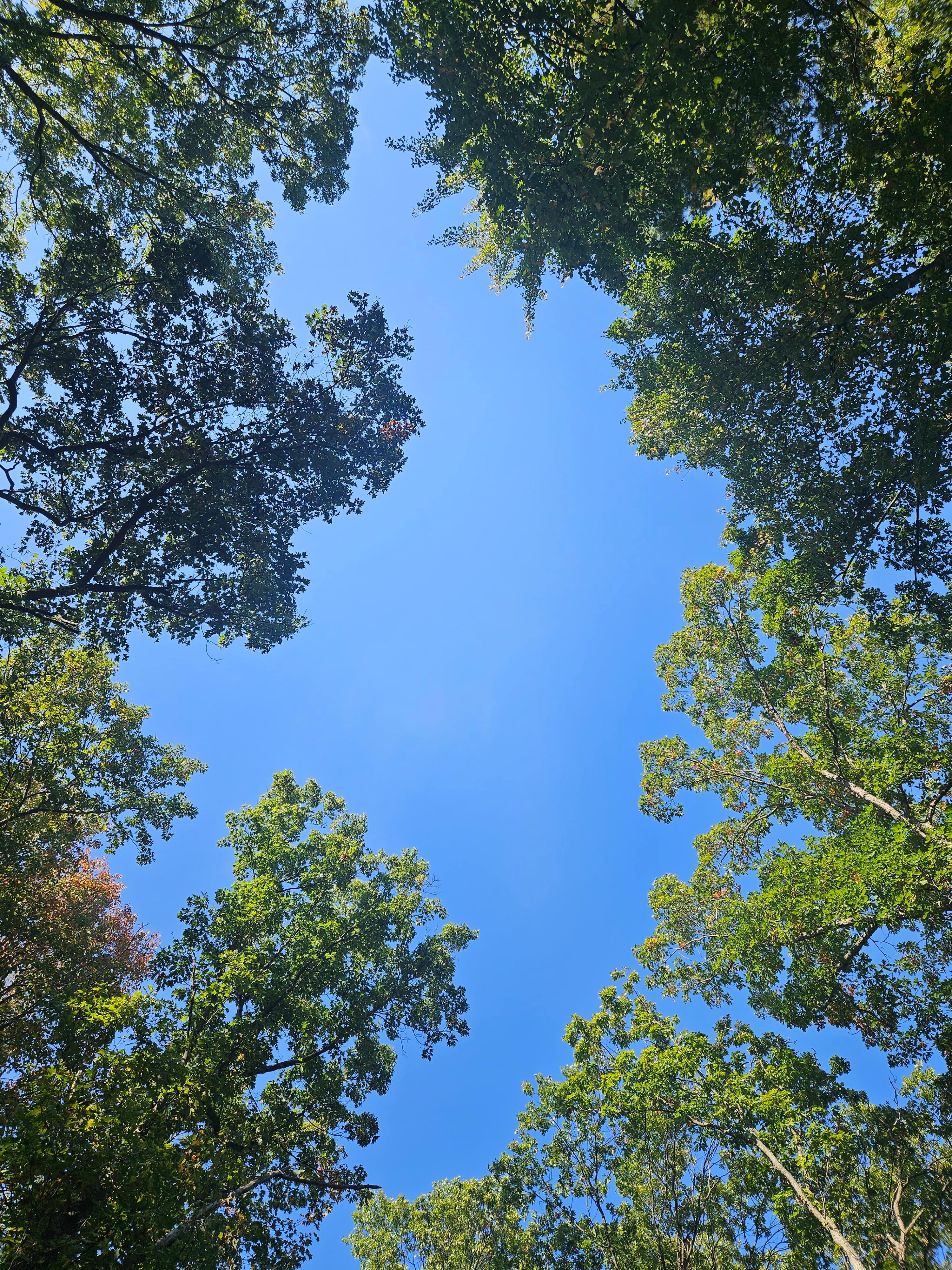 Dalton Traders  Tents  RV's  Cabins