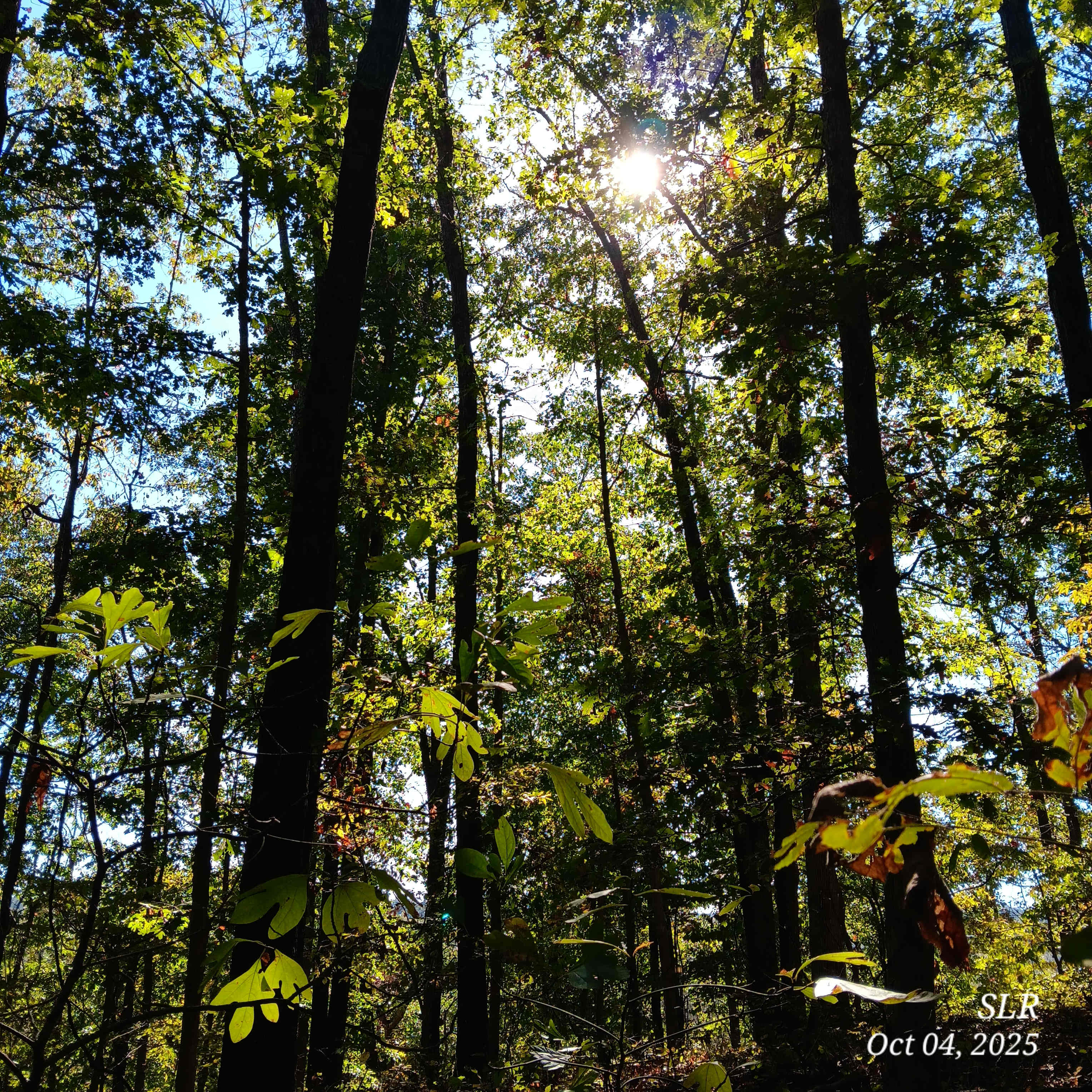 D'Ranch at Clearwater