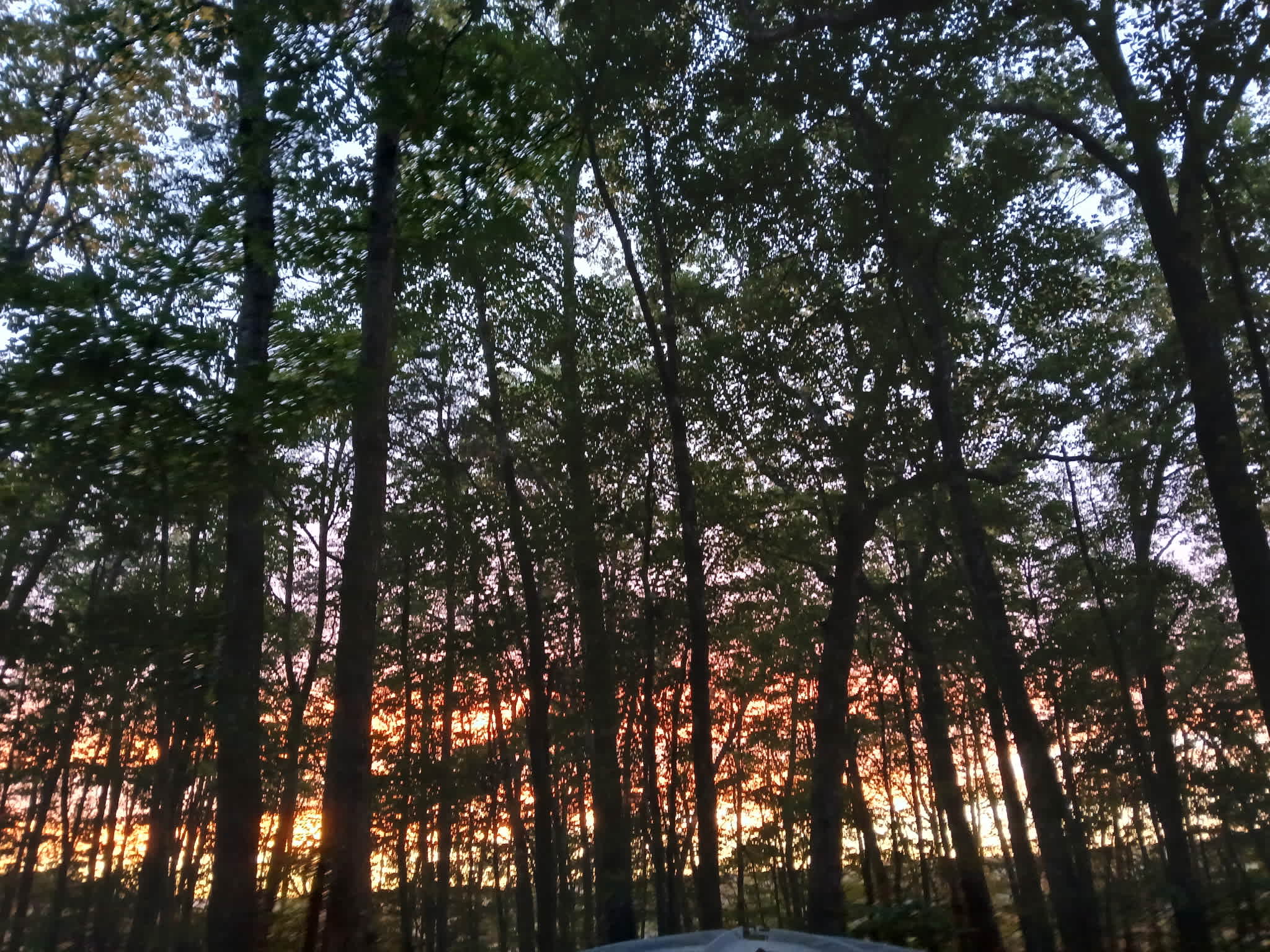 The Falls at Sewanee Creek