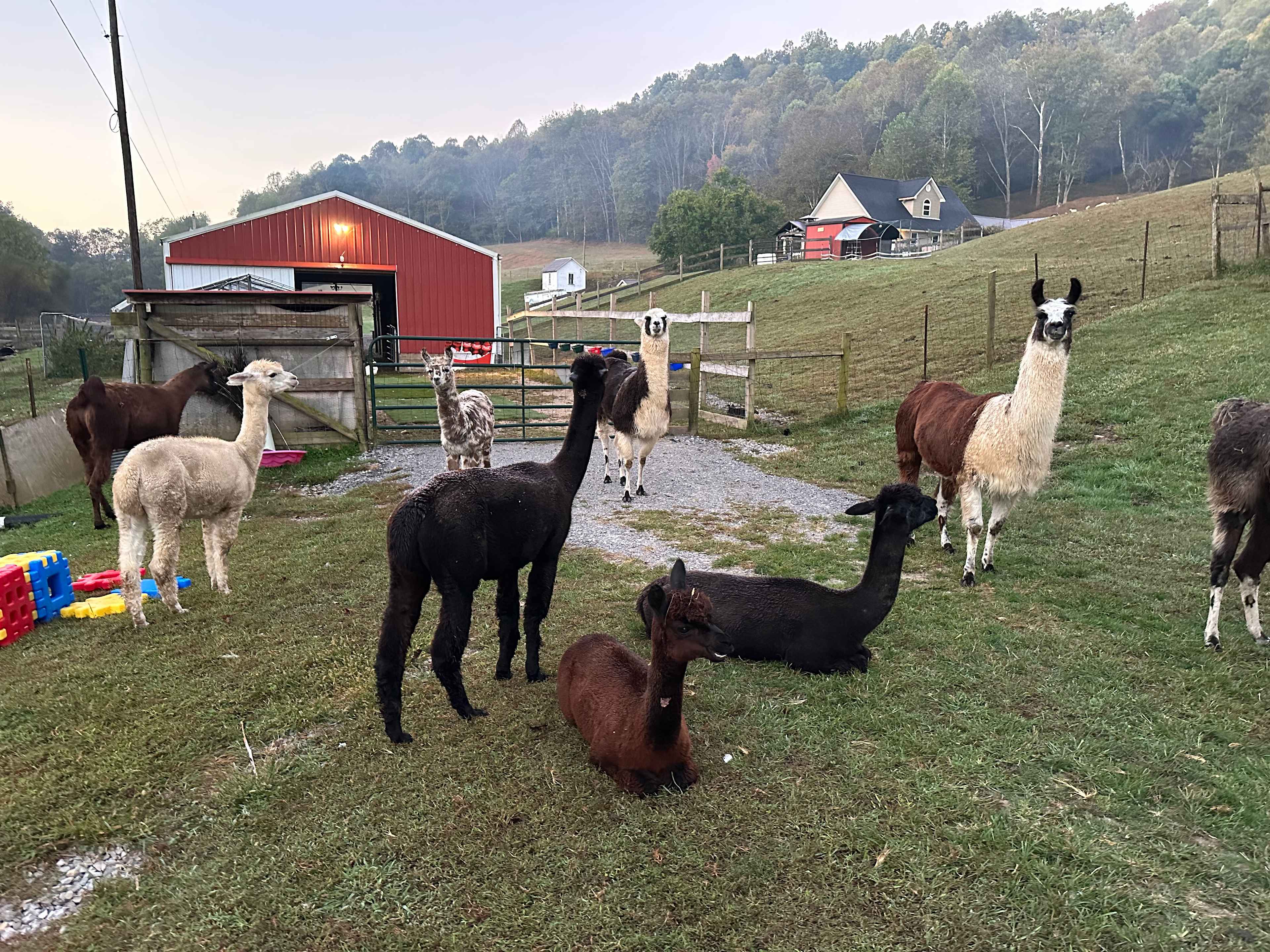 My crew for the whole stay.