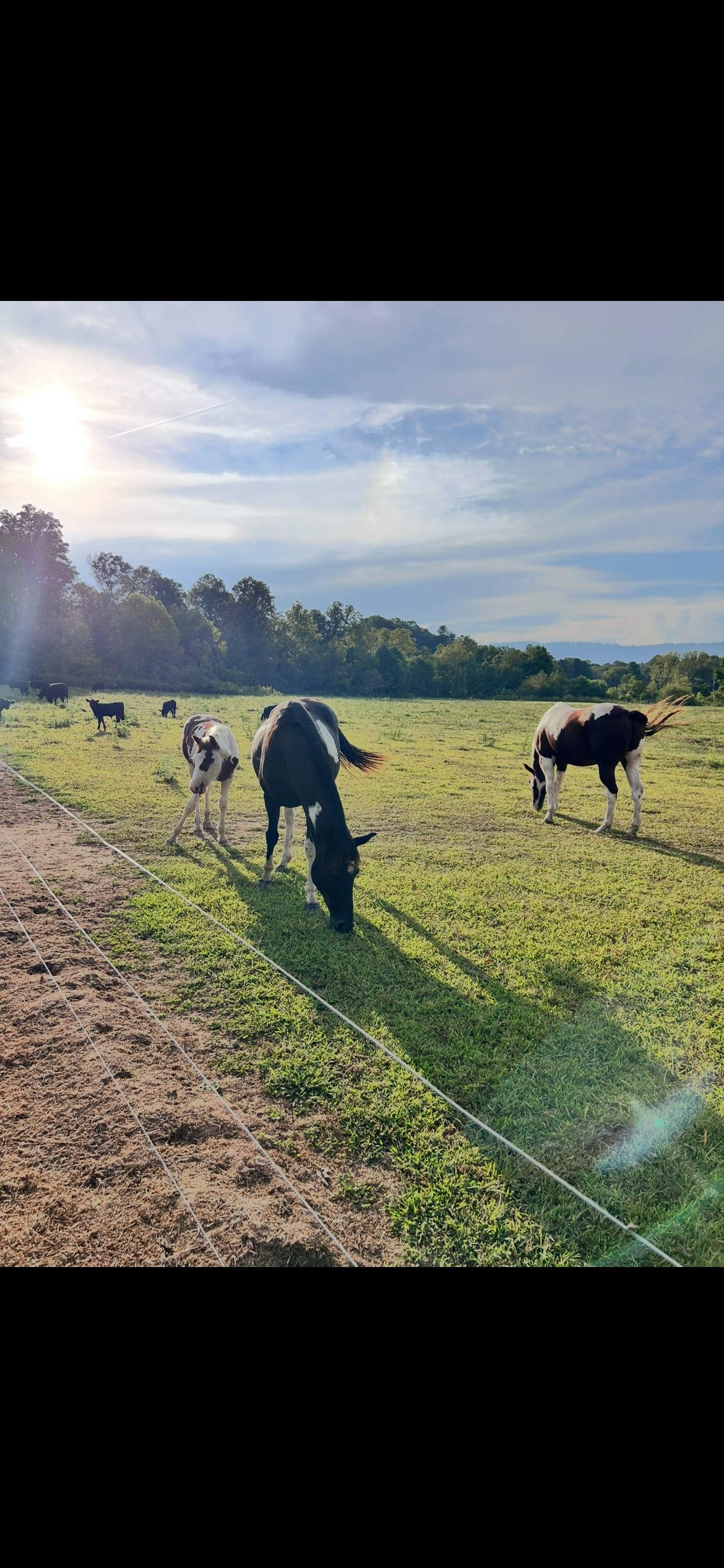 Sleep under the stars overlooking the mountains by babbling stream