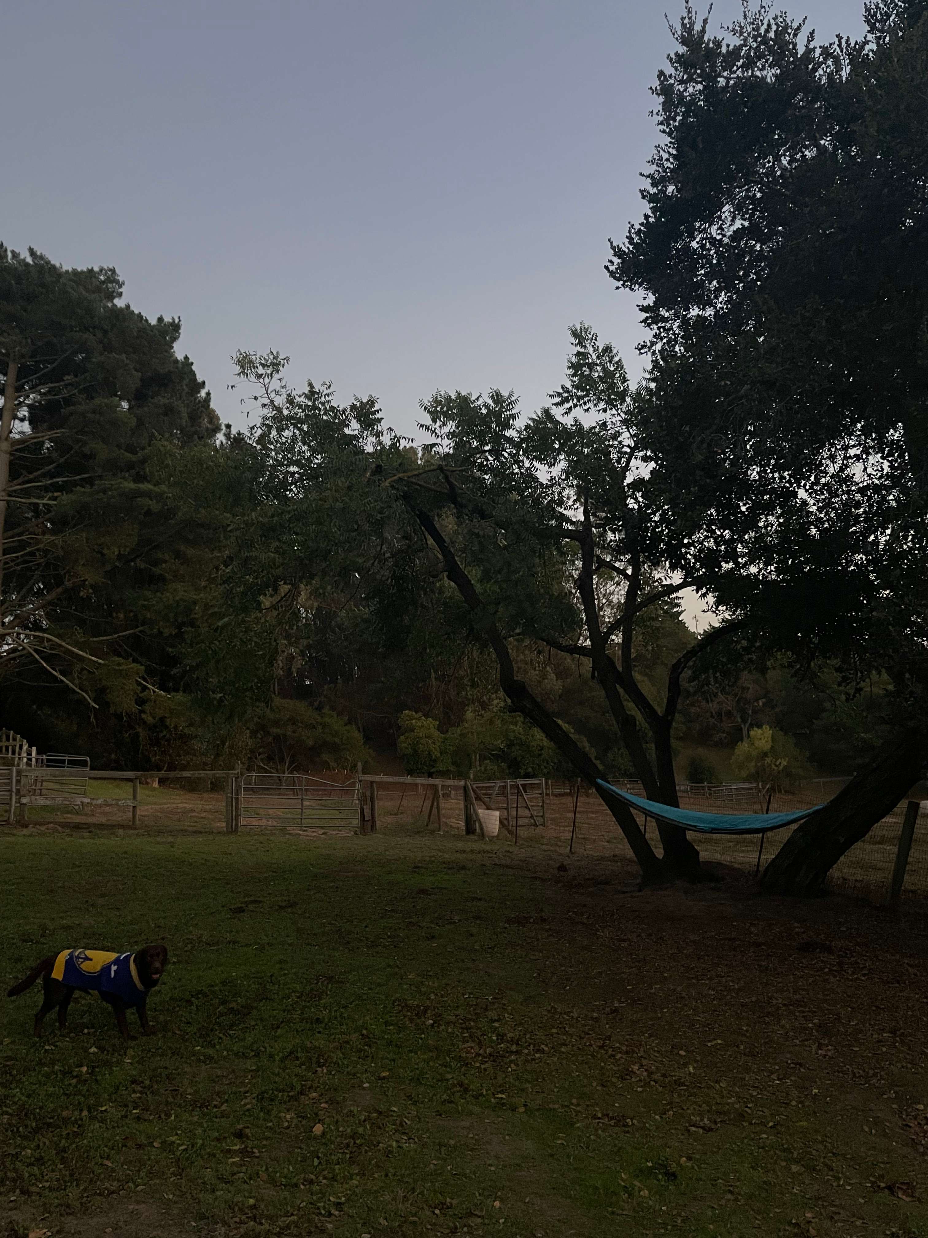 Nearby Getaway - Dogs Welcome!