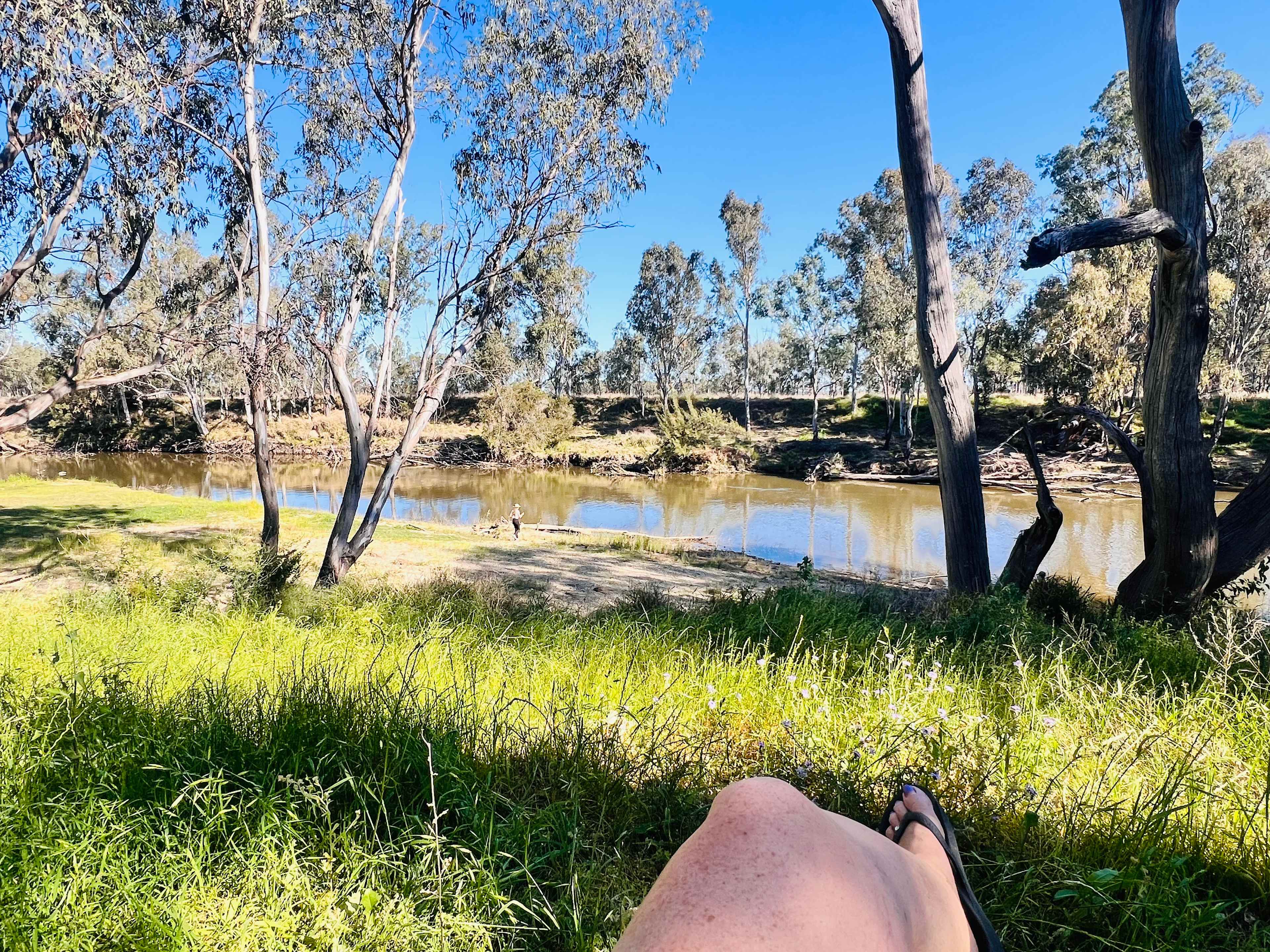 Bushland Hideaway on the River