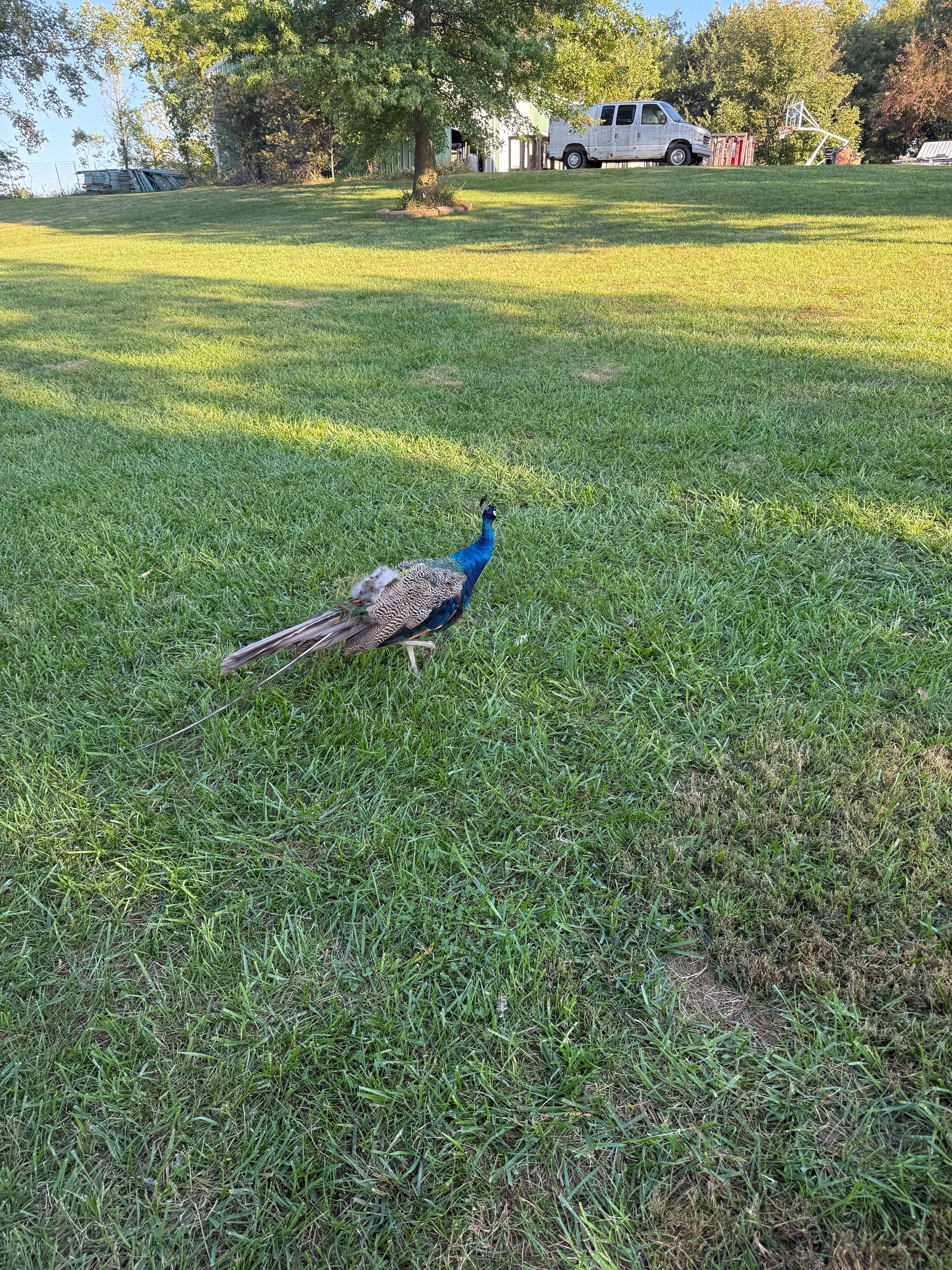 Harmony Lake Farm Park & Playground