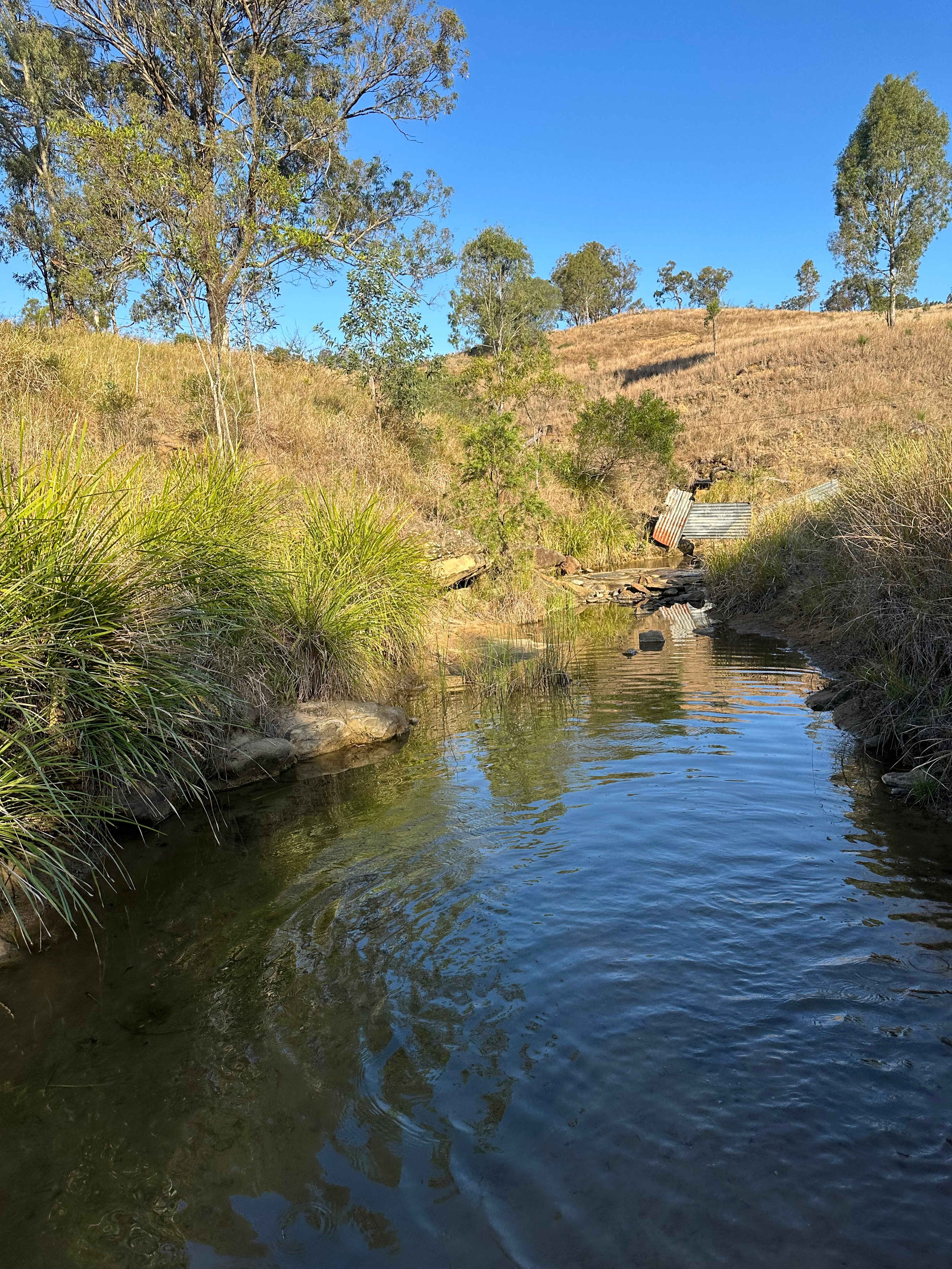 Juburra Country Camping