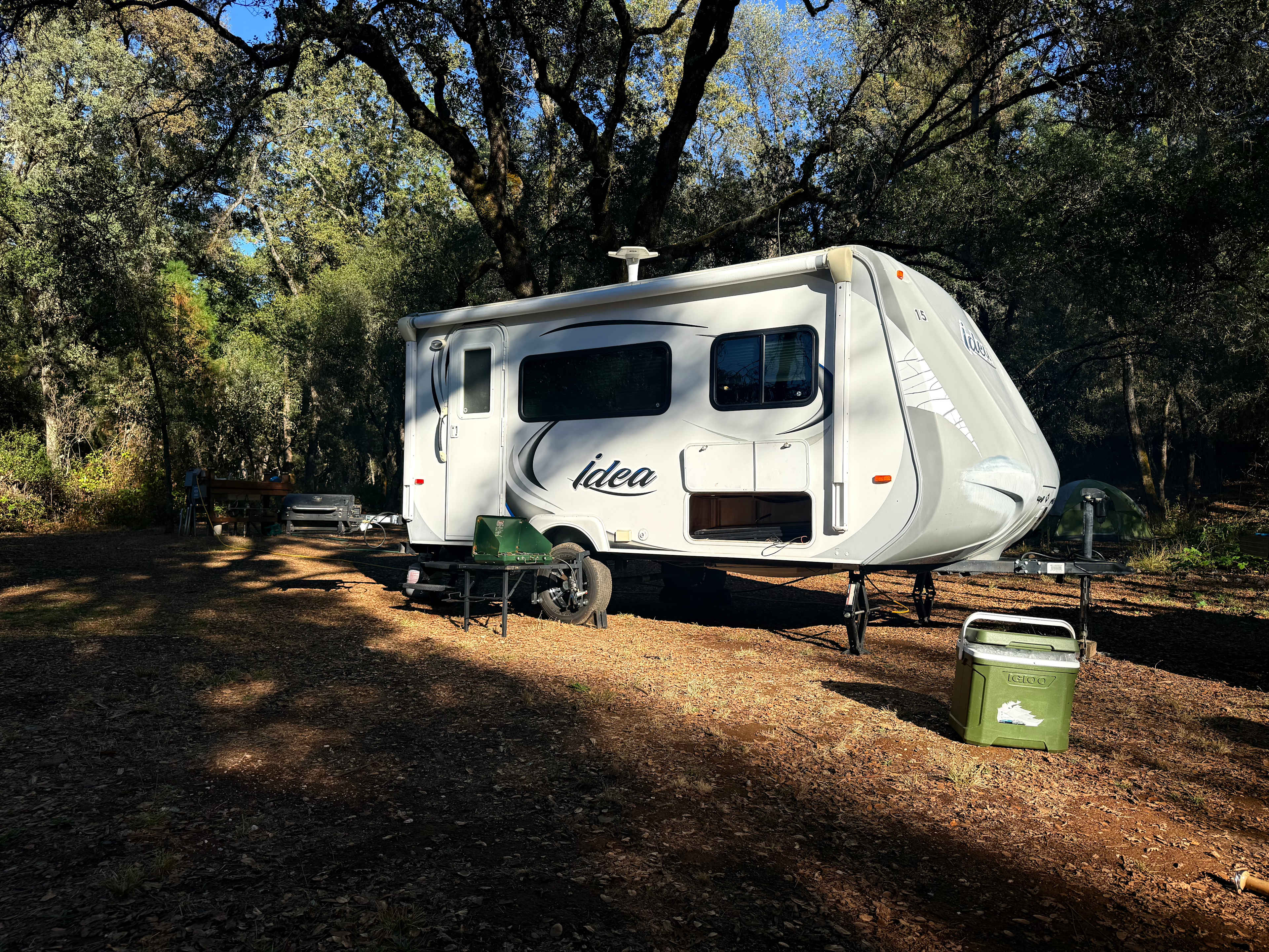 The Black Oak Forest