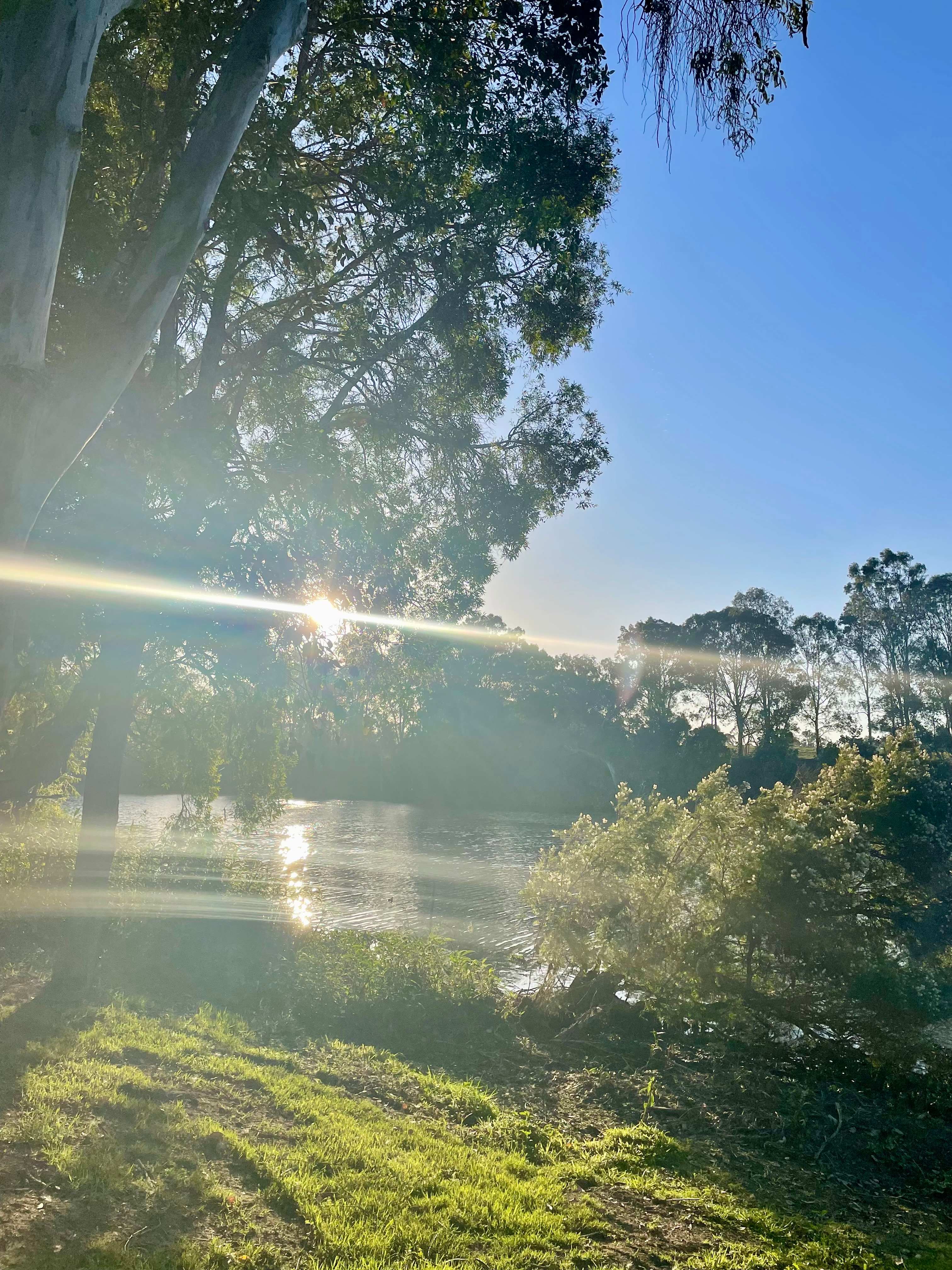 Wright's on the River