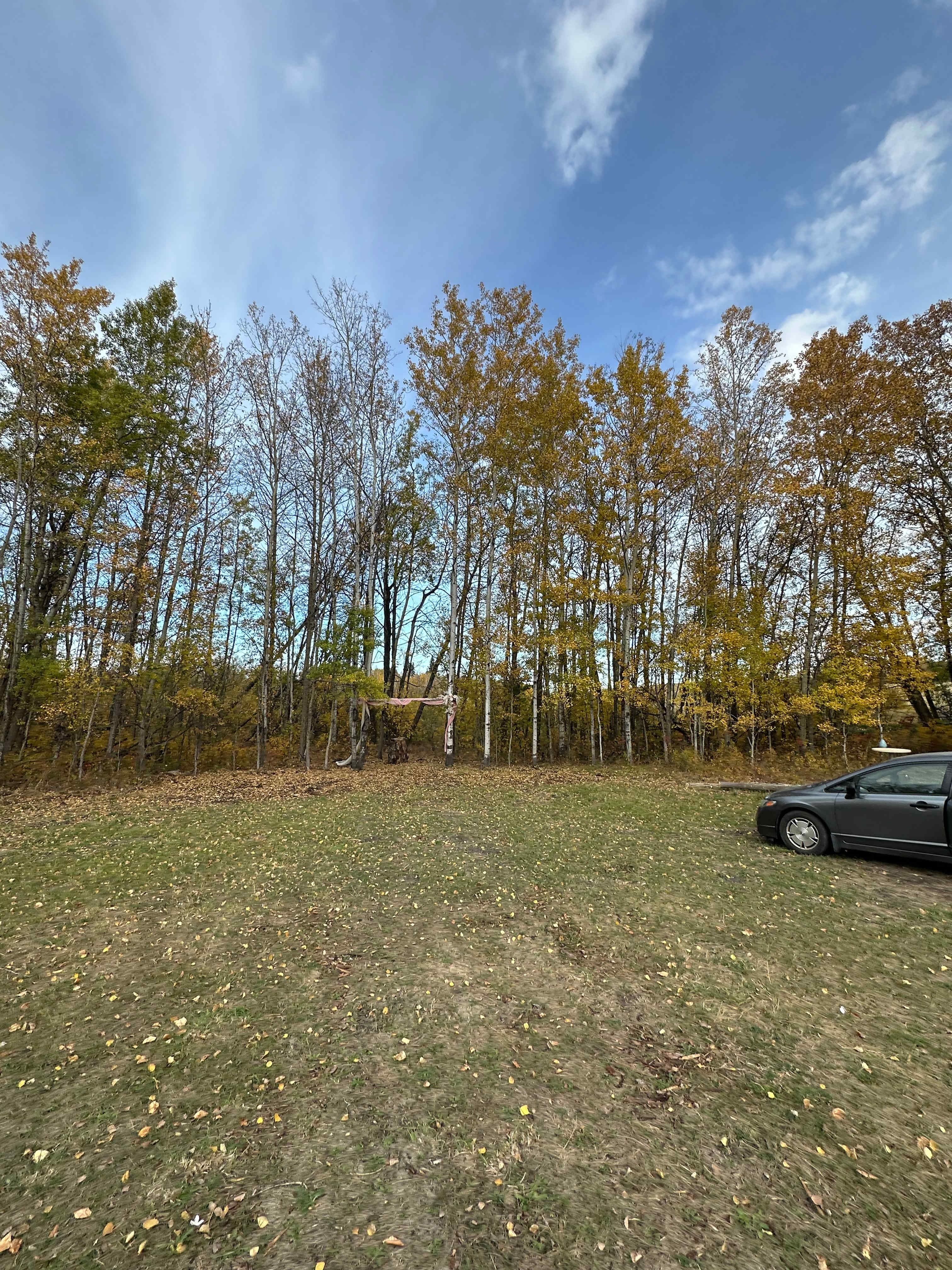 Danny’s Croft - 80 Acre Woods