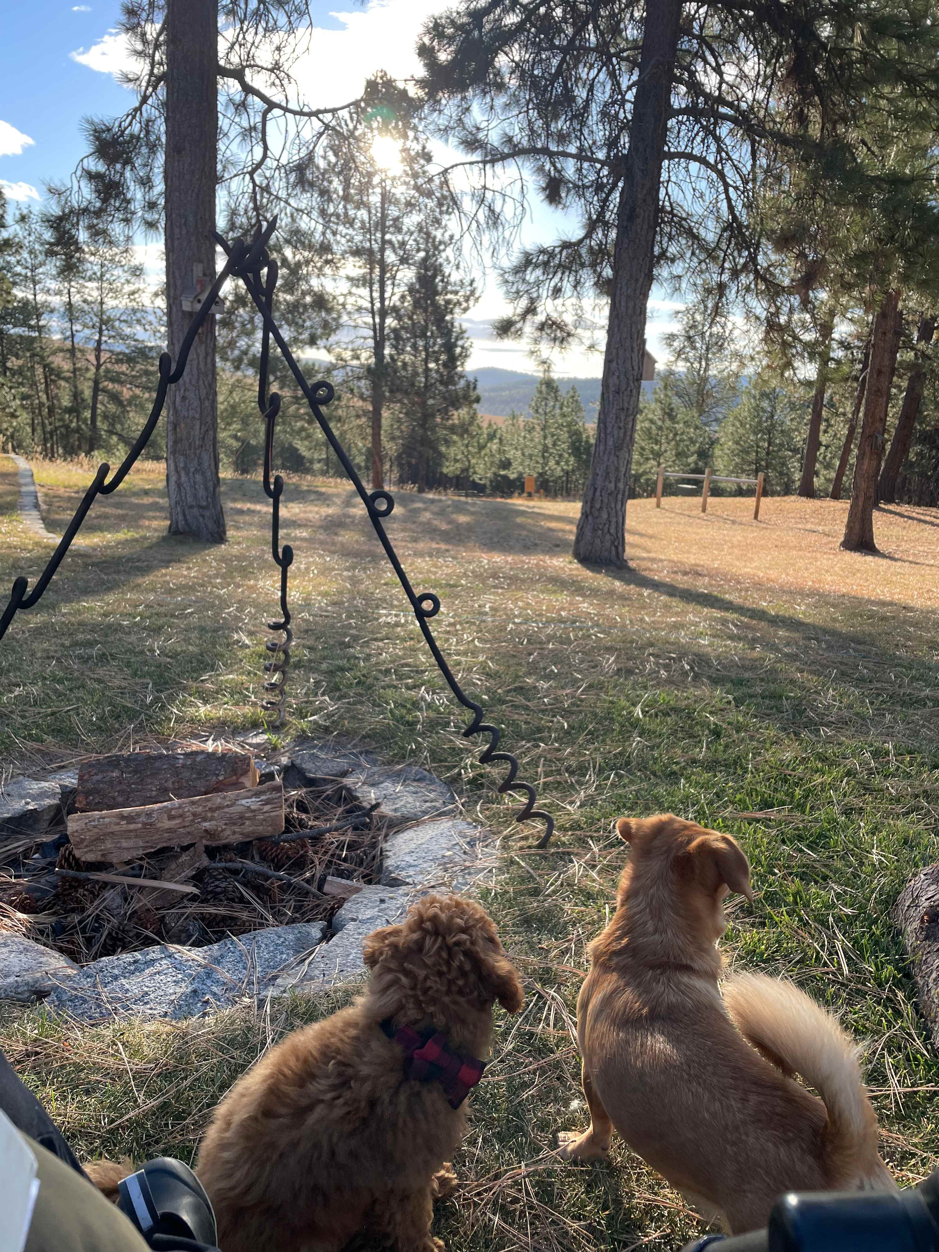 LAZY C Mini RV Park/Campground