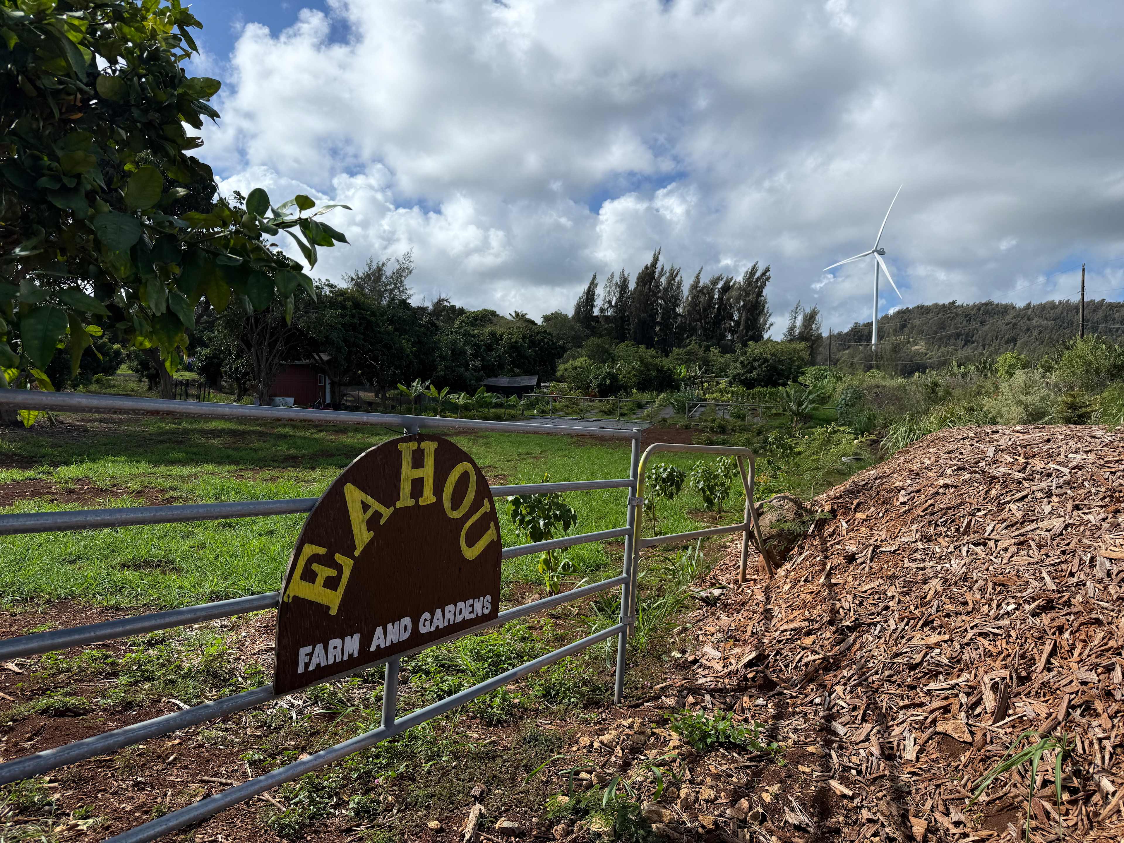 Charming Kahuku camp