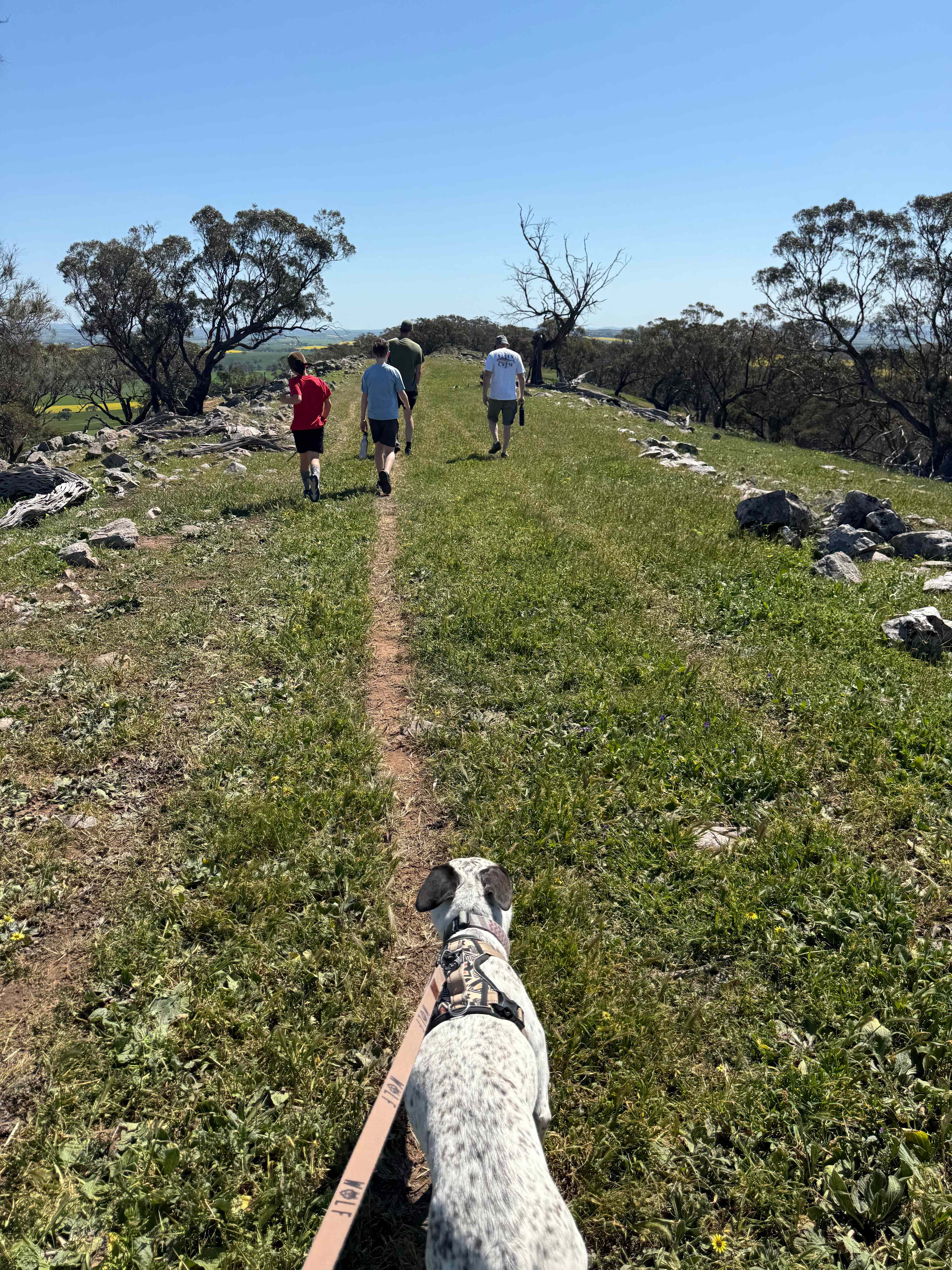 Hiking across the ridge 6km return from our site 