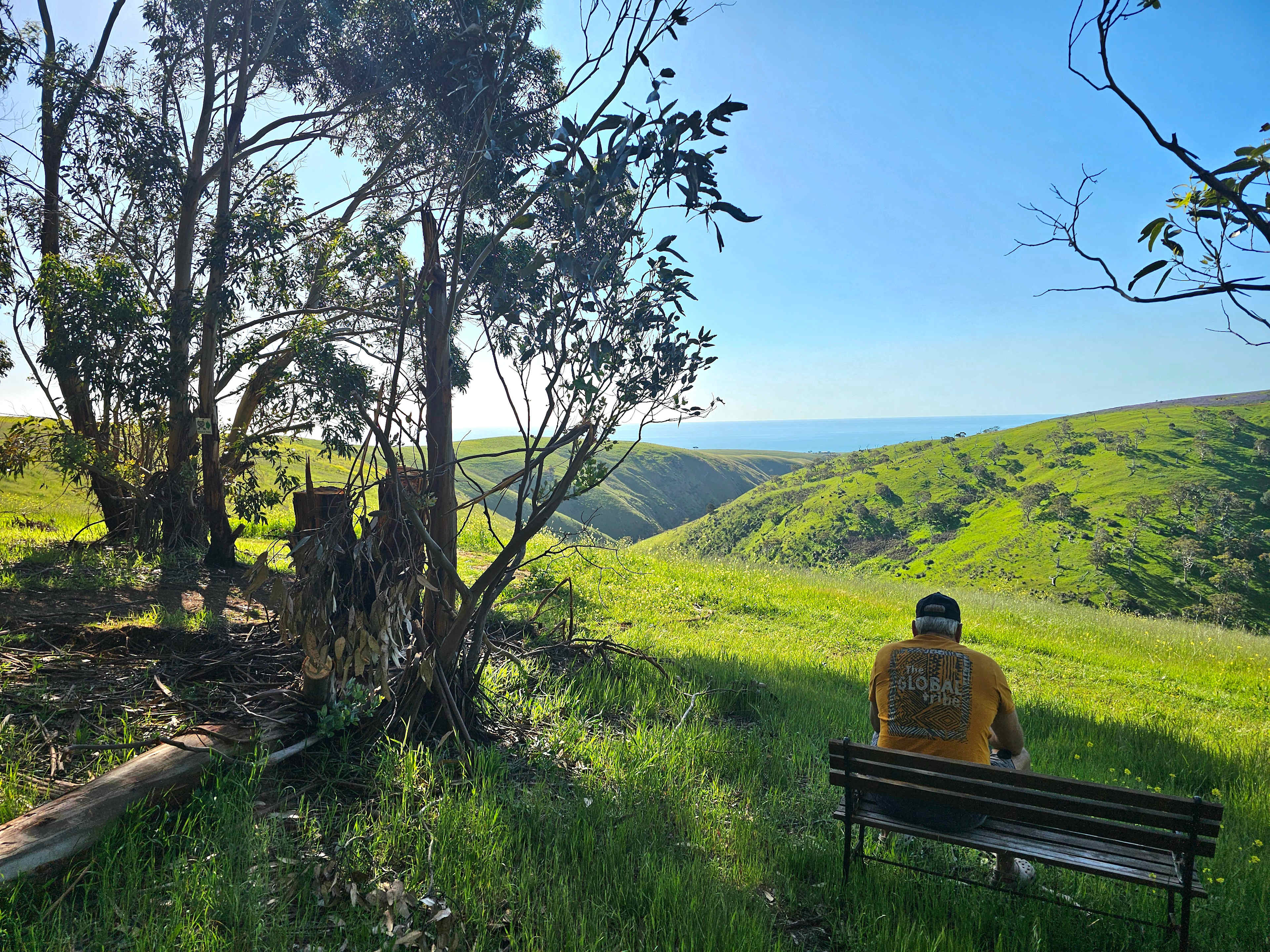 Koala Coast Retreat Farm