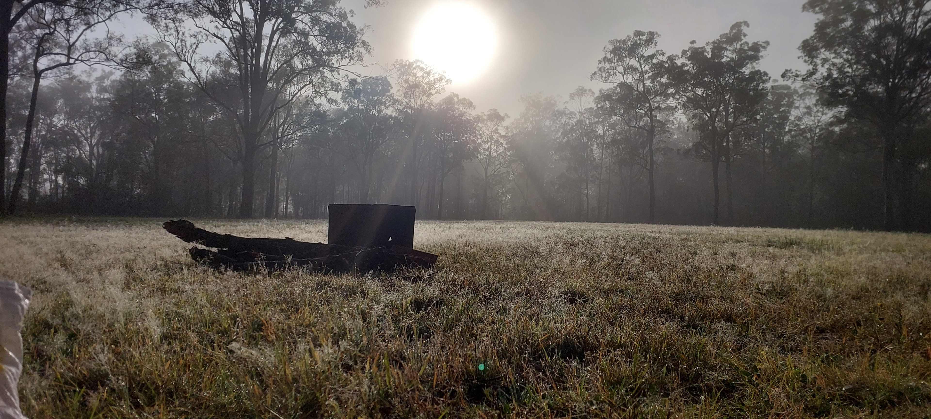 Doorstep to the Vineyards No 1