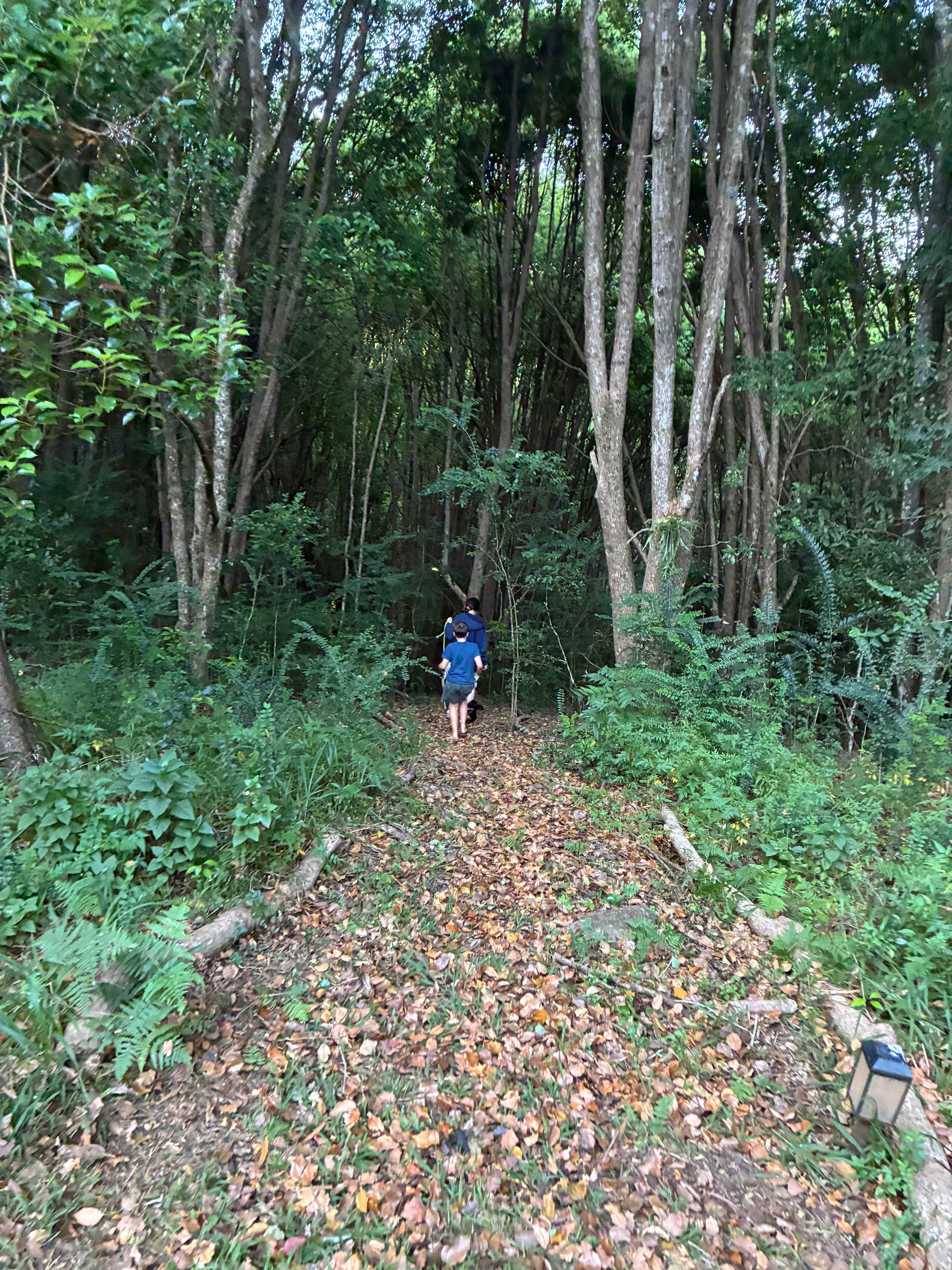 Jessria Eco Shalom Nature  Farm