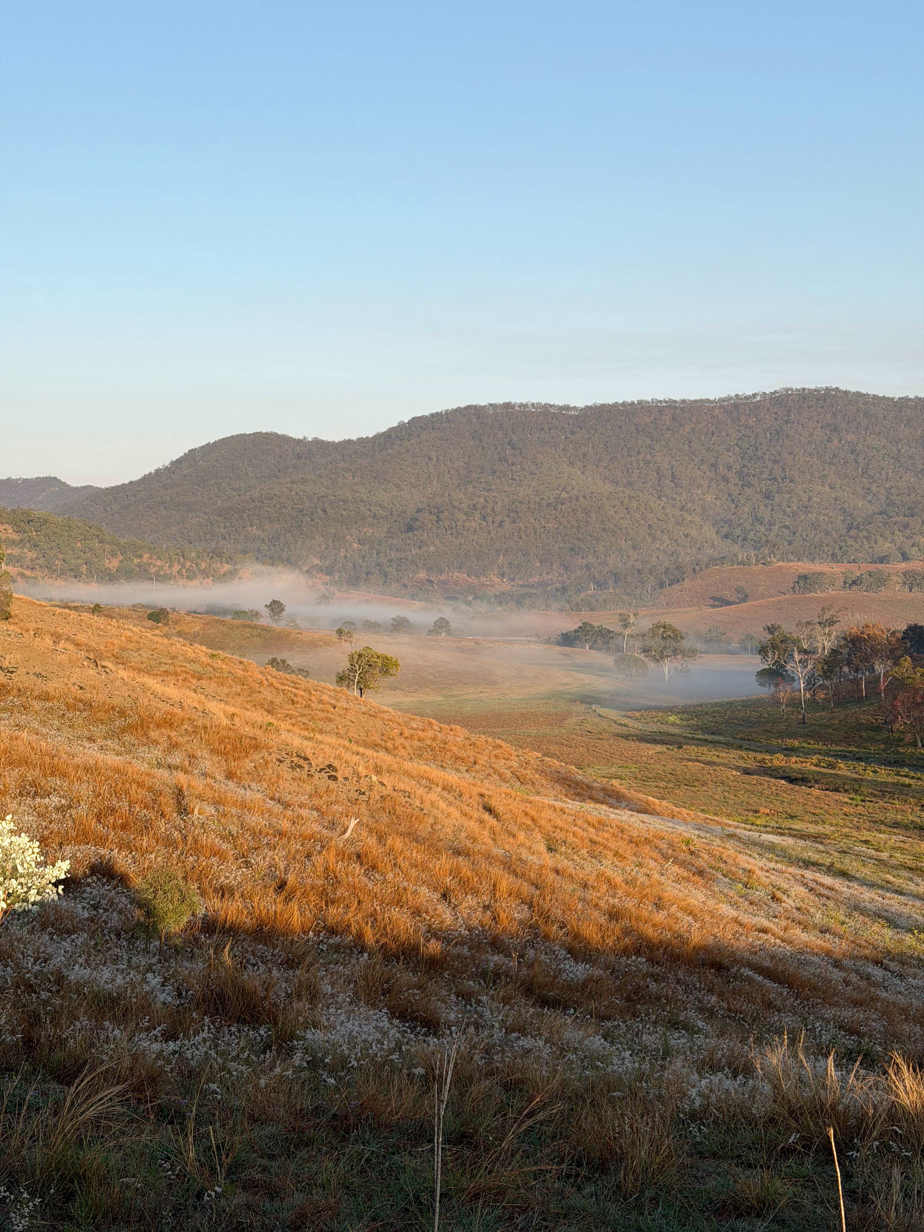 Juburra Country Camping