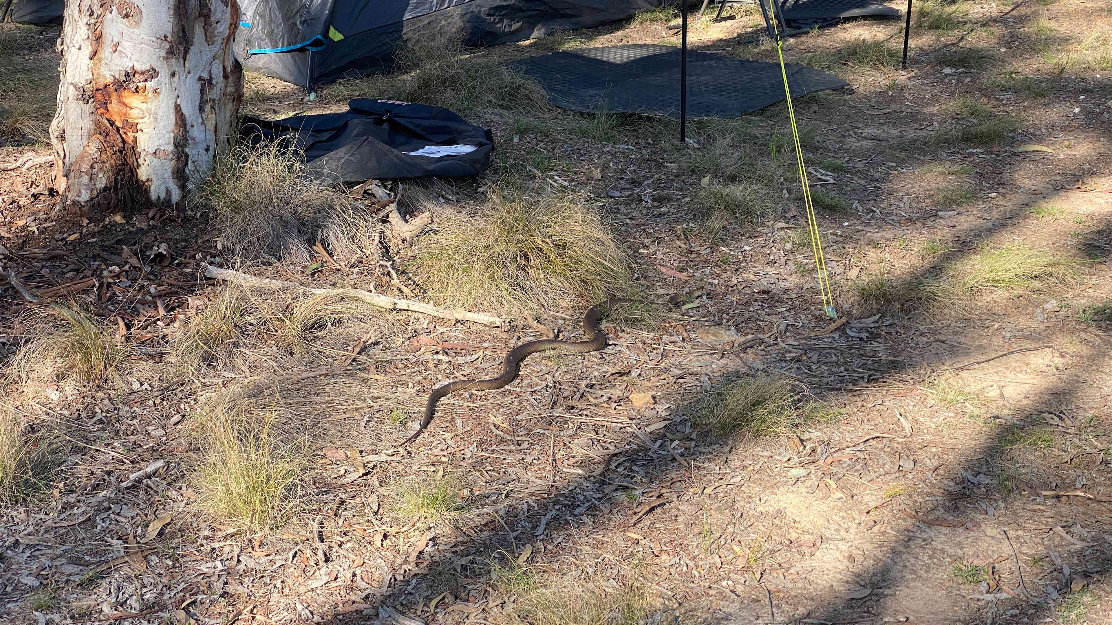 Mount Testa Campgrounds