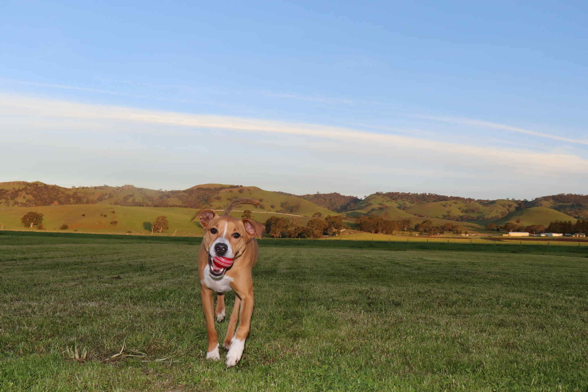 Huge space! Amazing views!