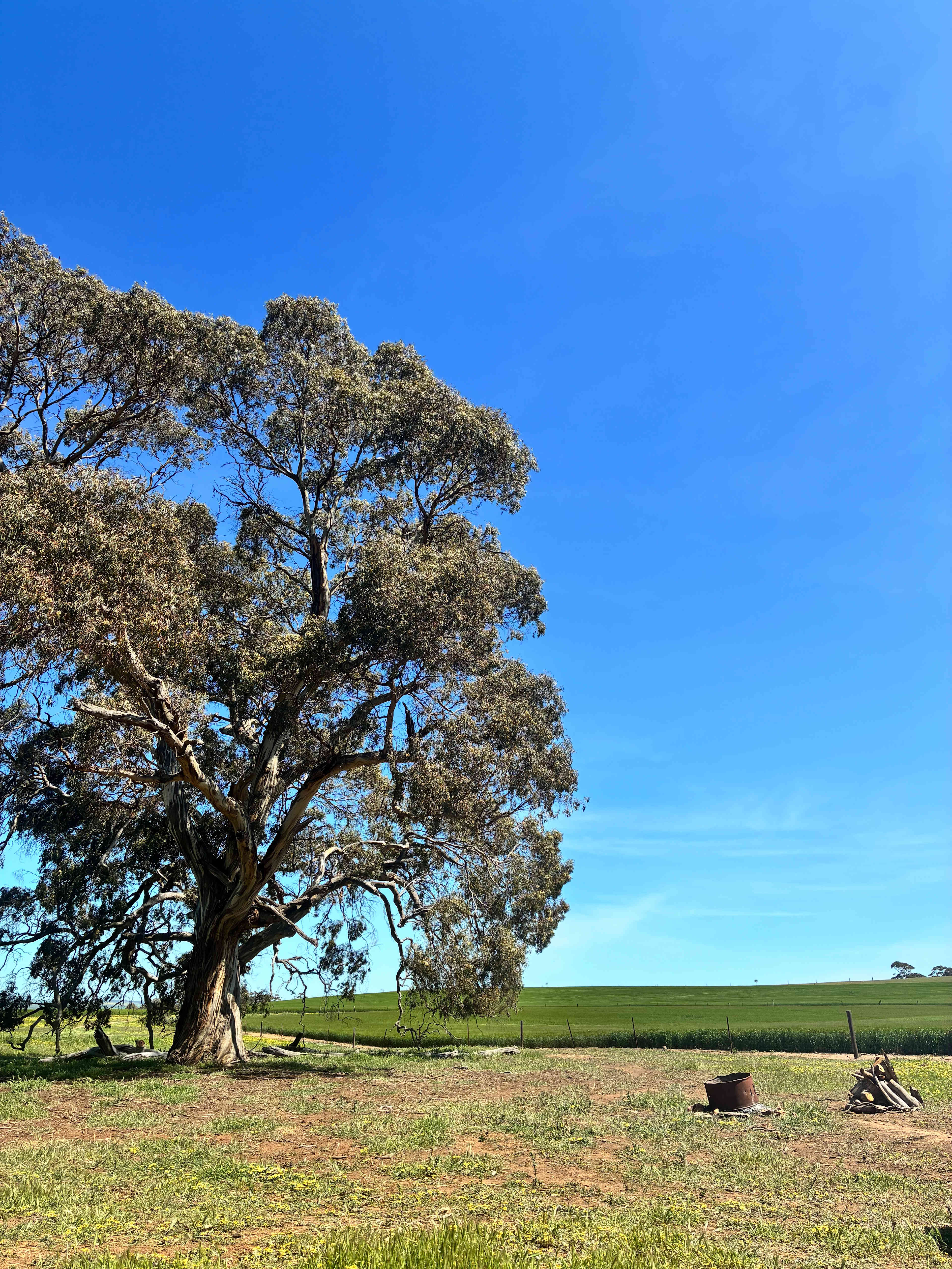 Edgehill Farm Stays Riverton