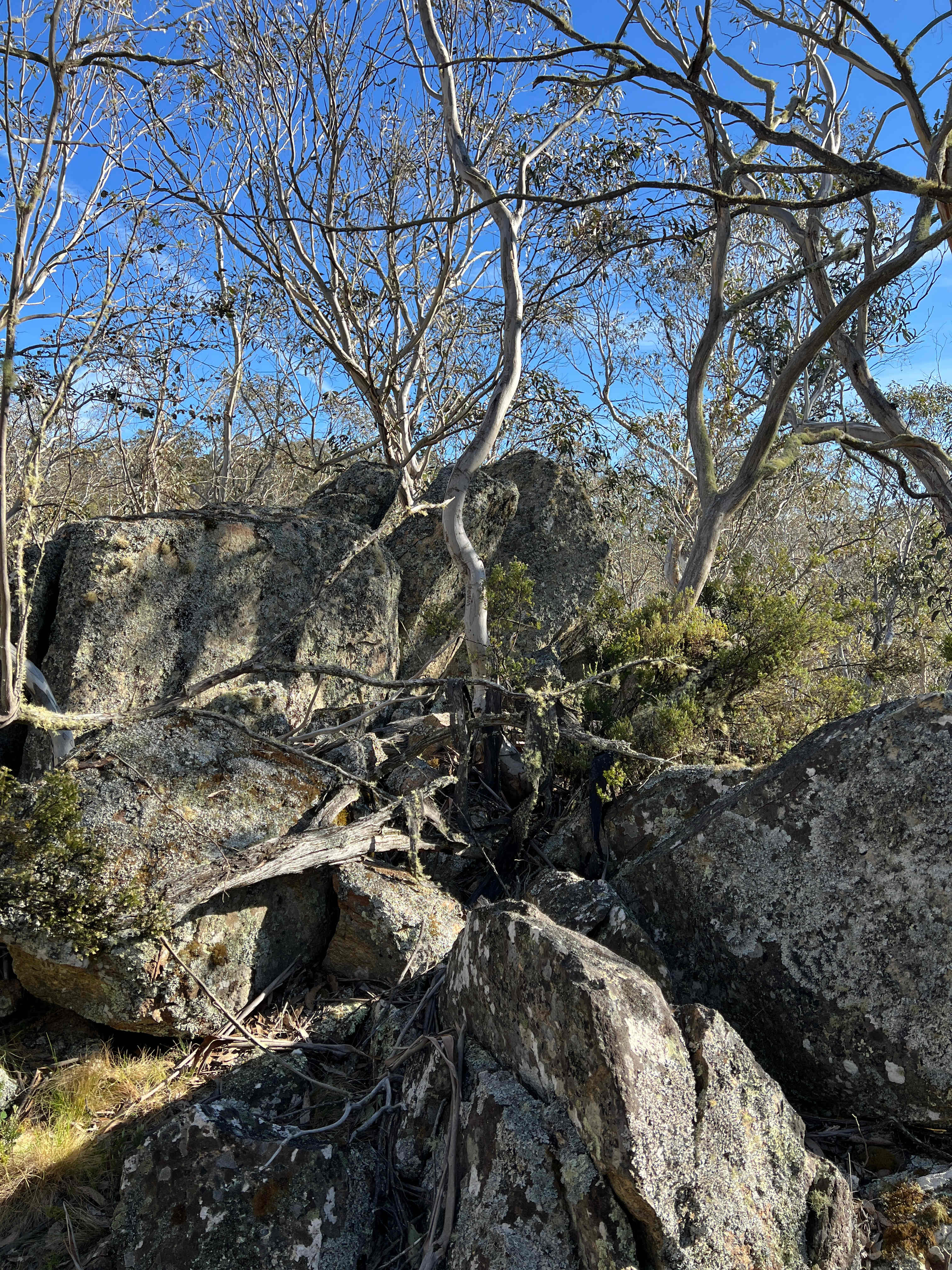 Kallarroo Farm, nr Nimmitabel