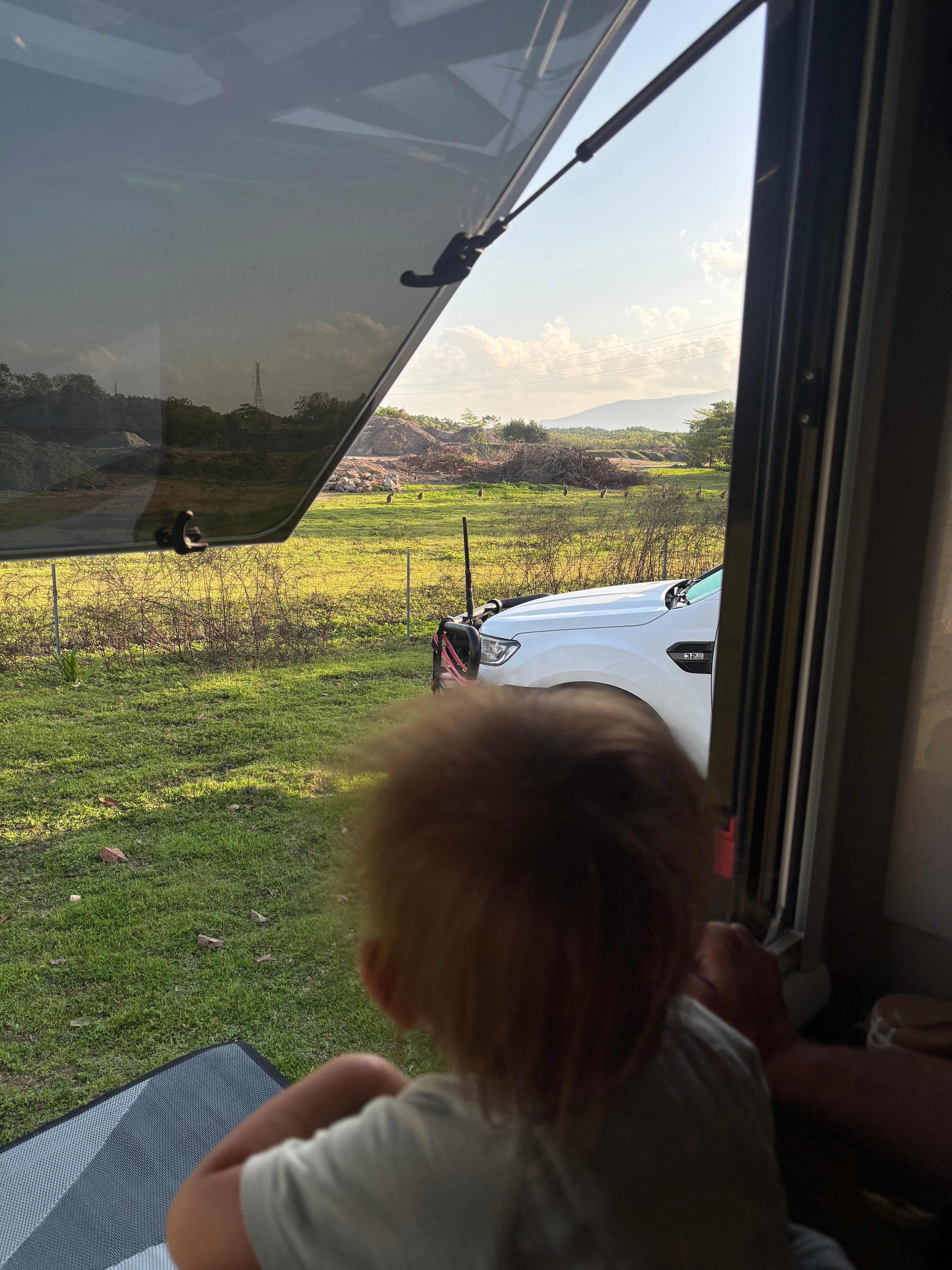 Easy Camping at Wallaby Nights