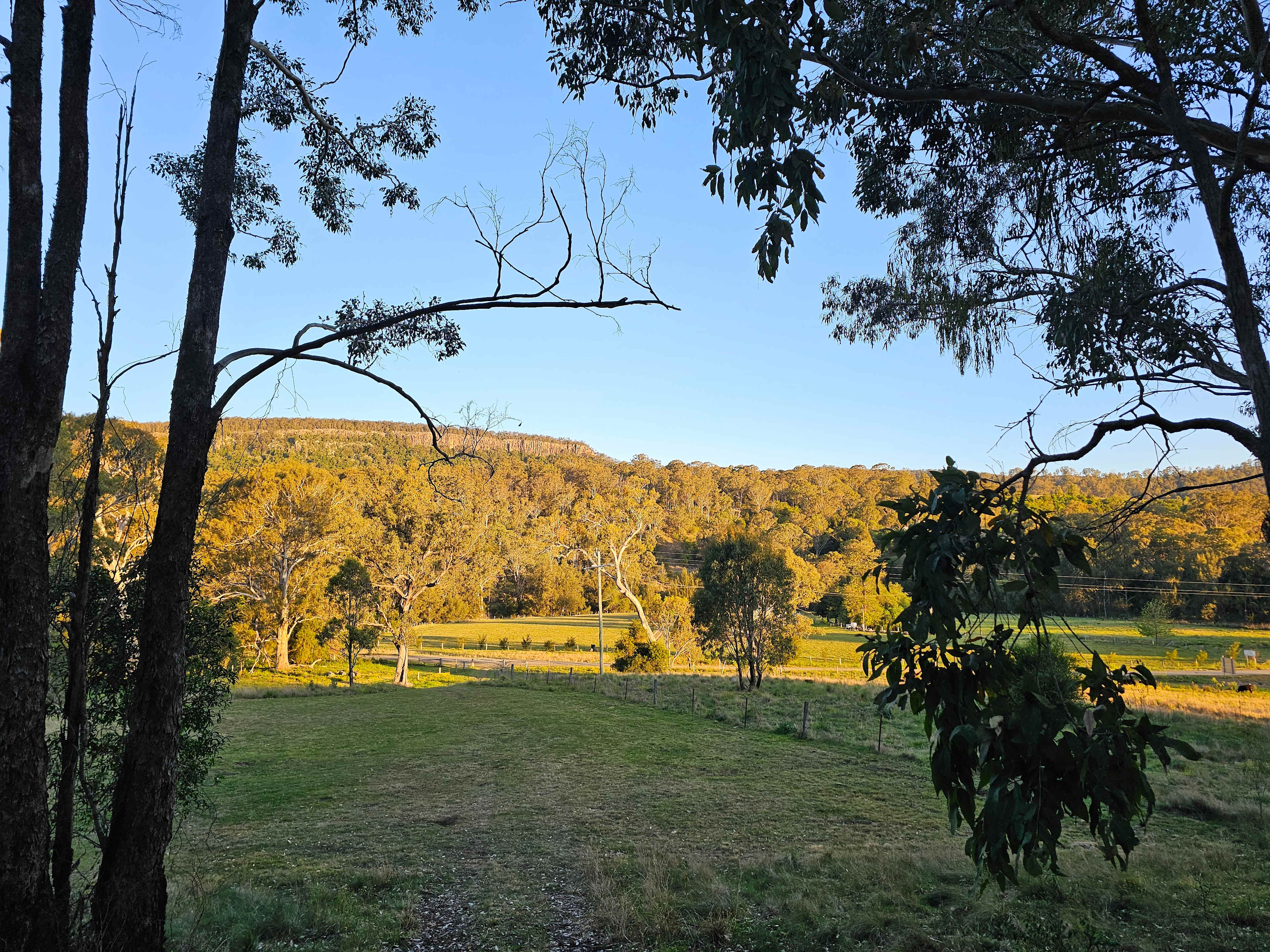 Wynola Country Cousins