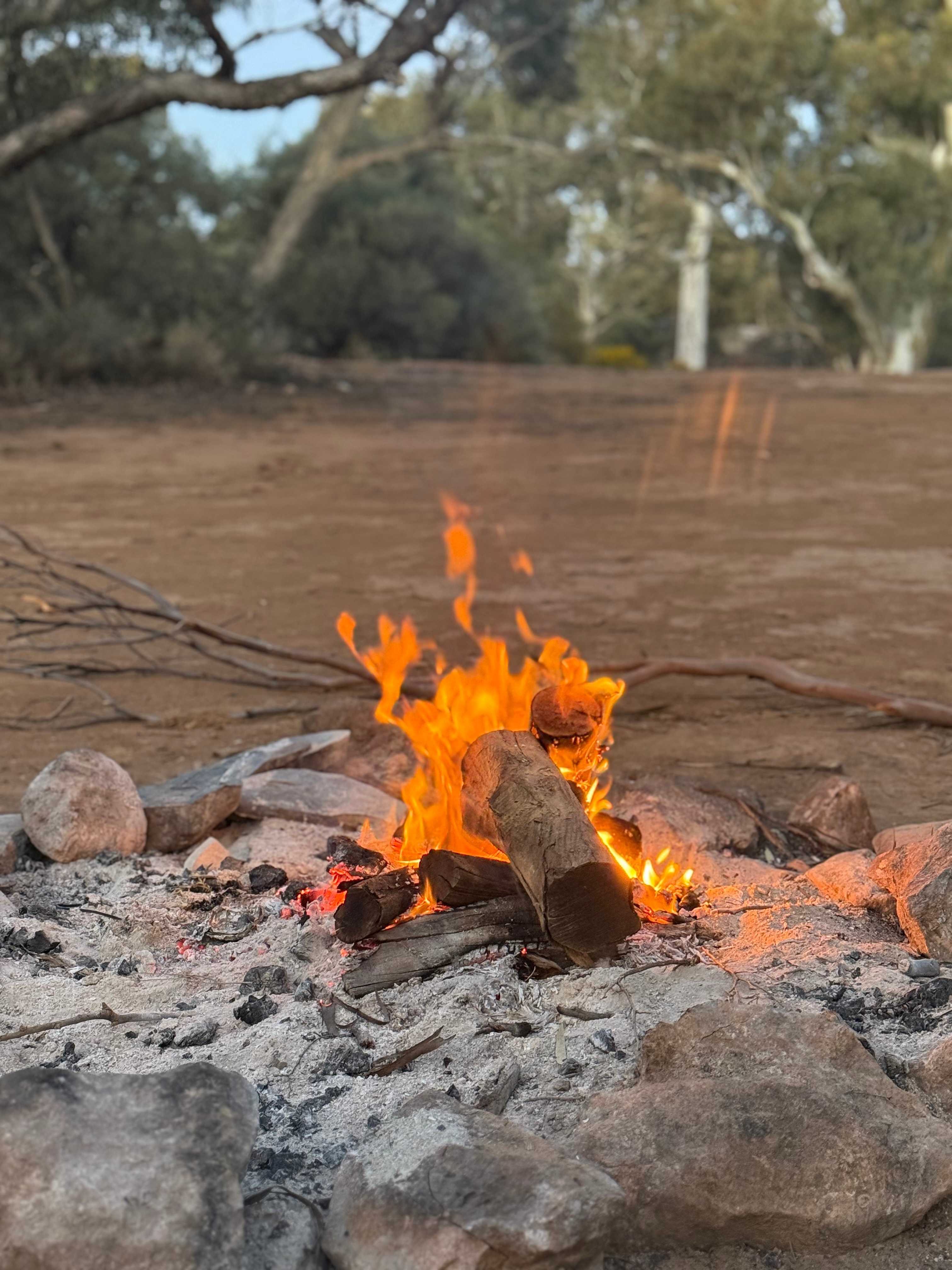 Burra Creek Camping