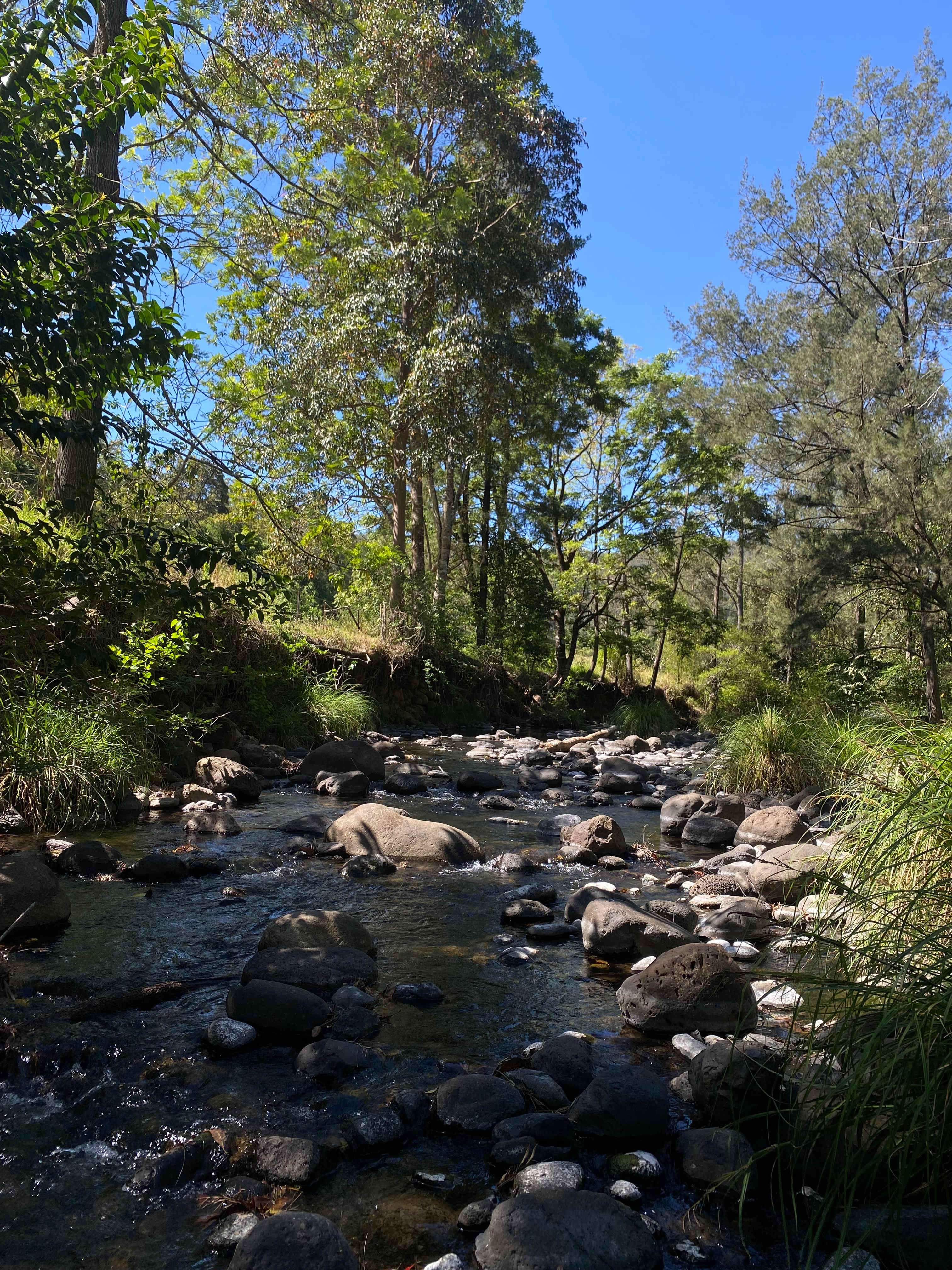 Warrazambil Creek Camp