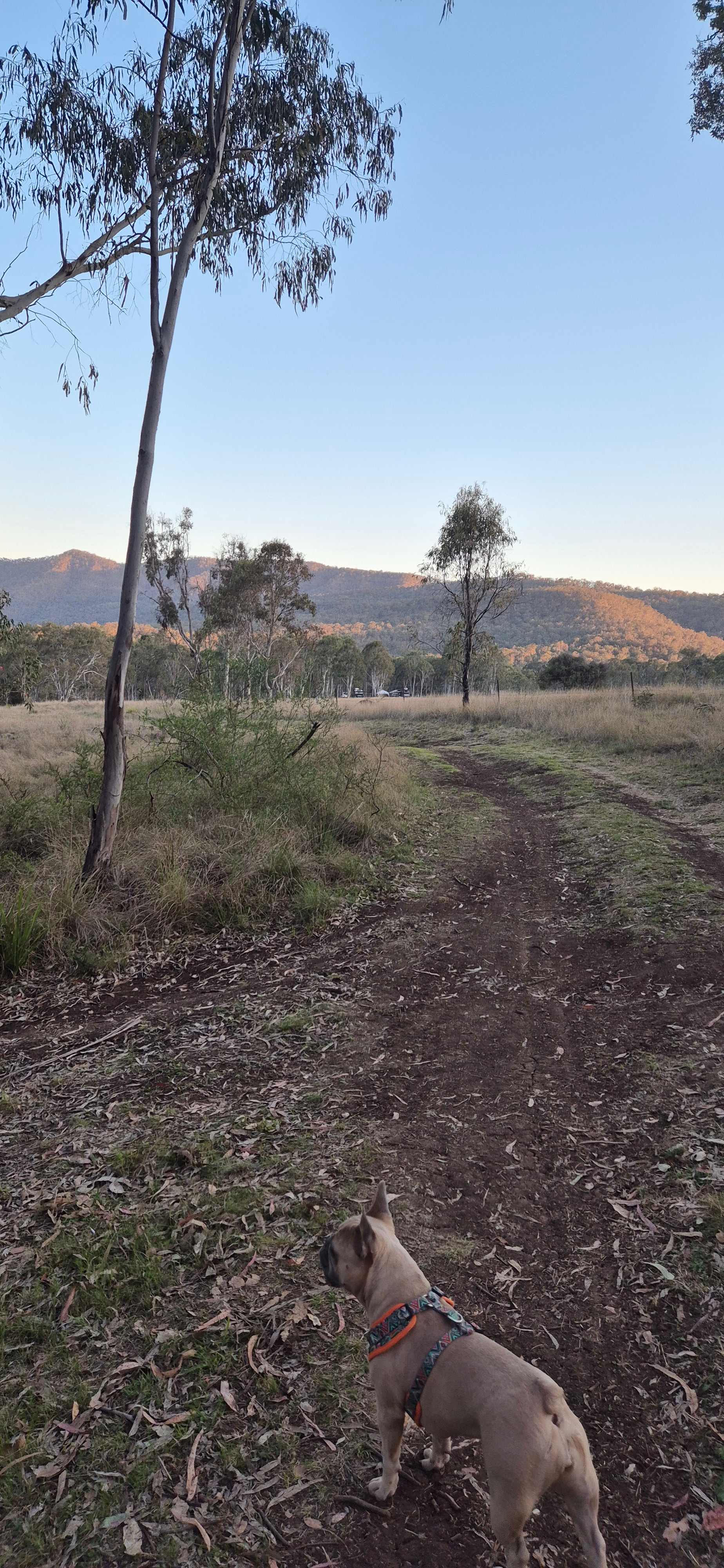 Nyalar Mirunganah Nature Refuge