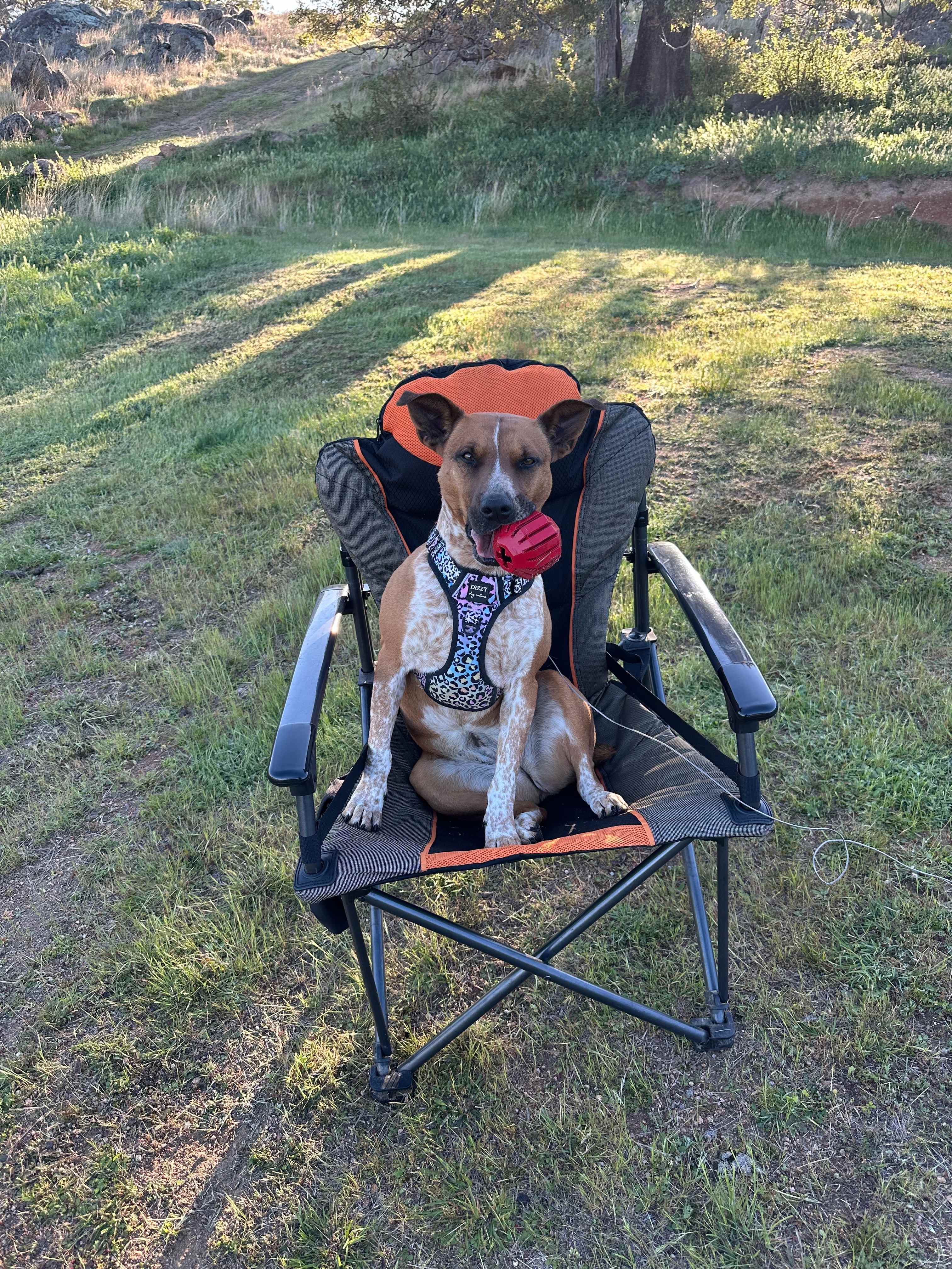 REVELSTONE MOUNTAIN CAMPS