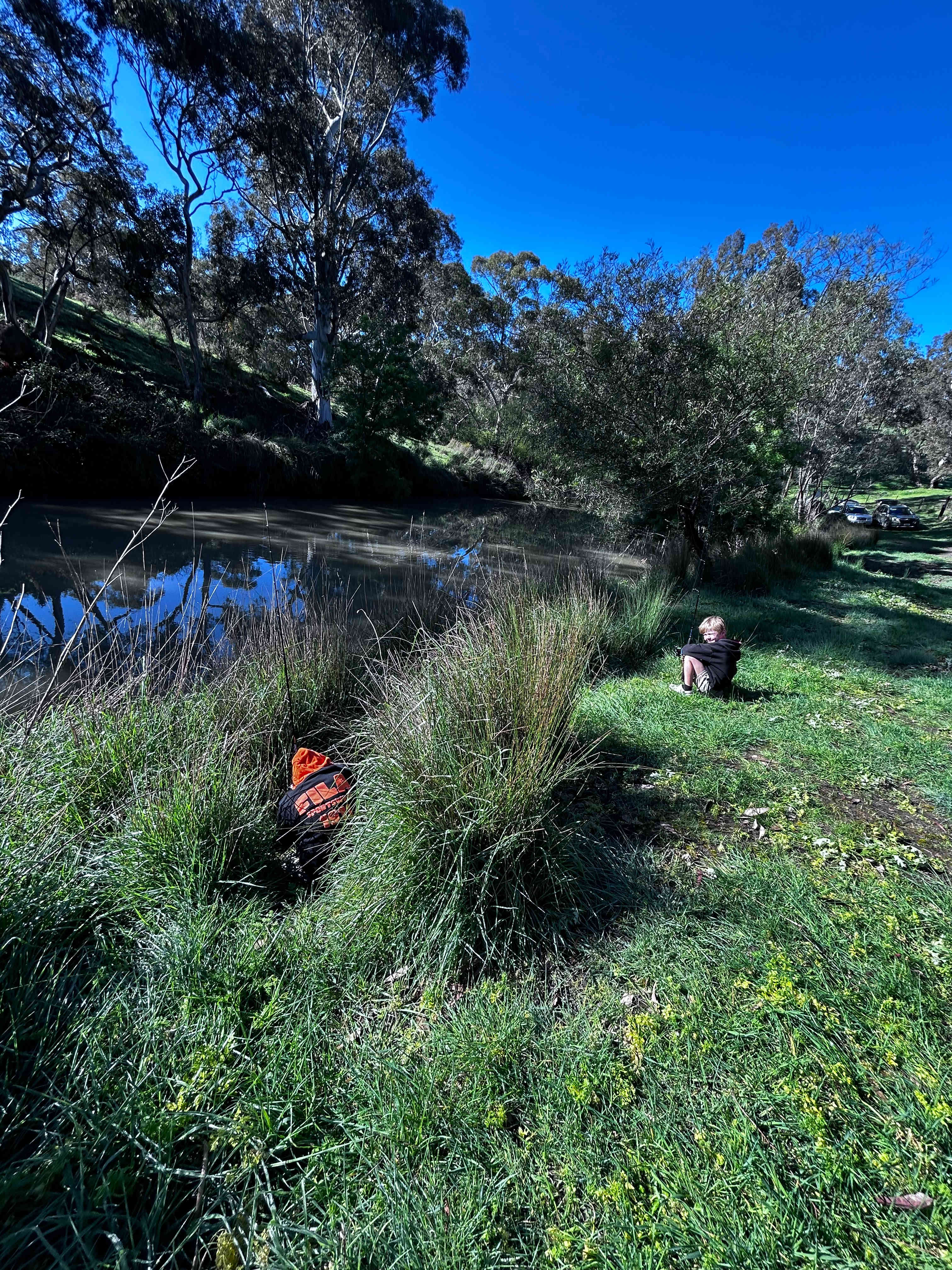 Willow Glen Alpaca Farm