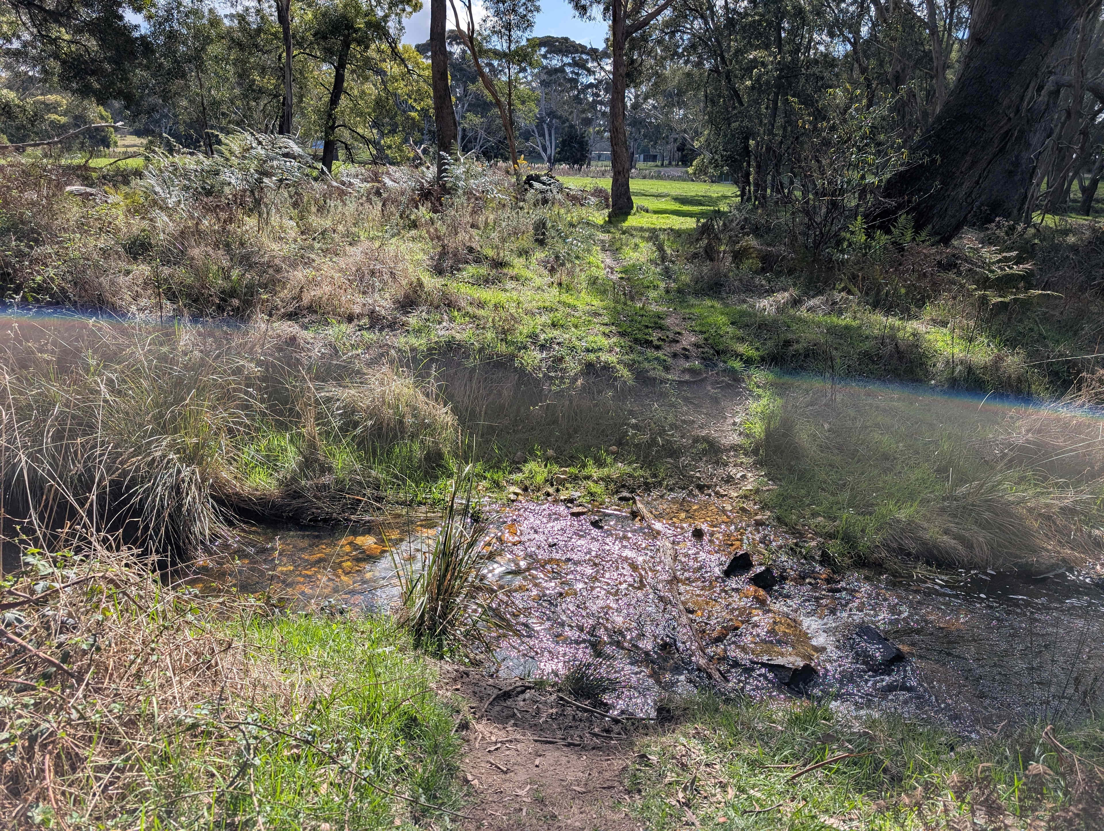 Jazmine Valley-Glenlyon/Dayles