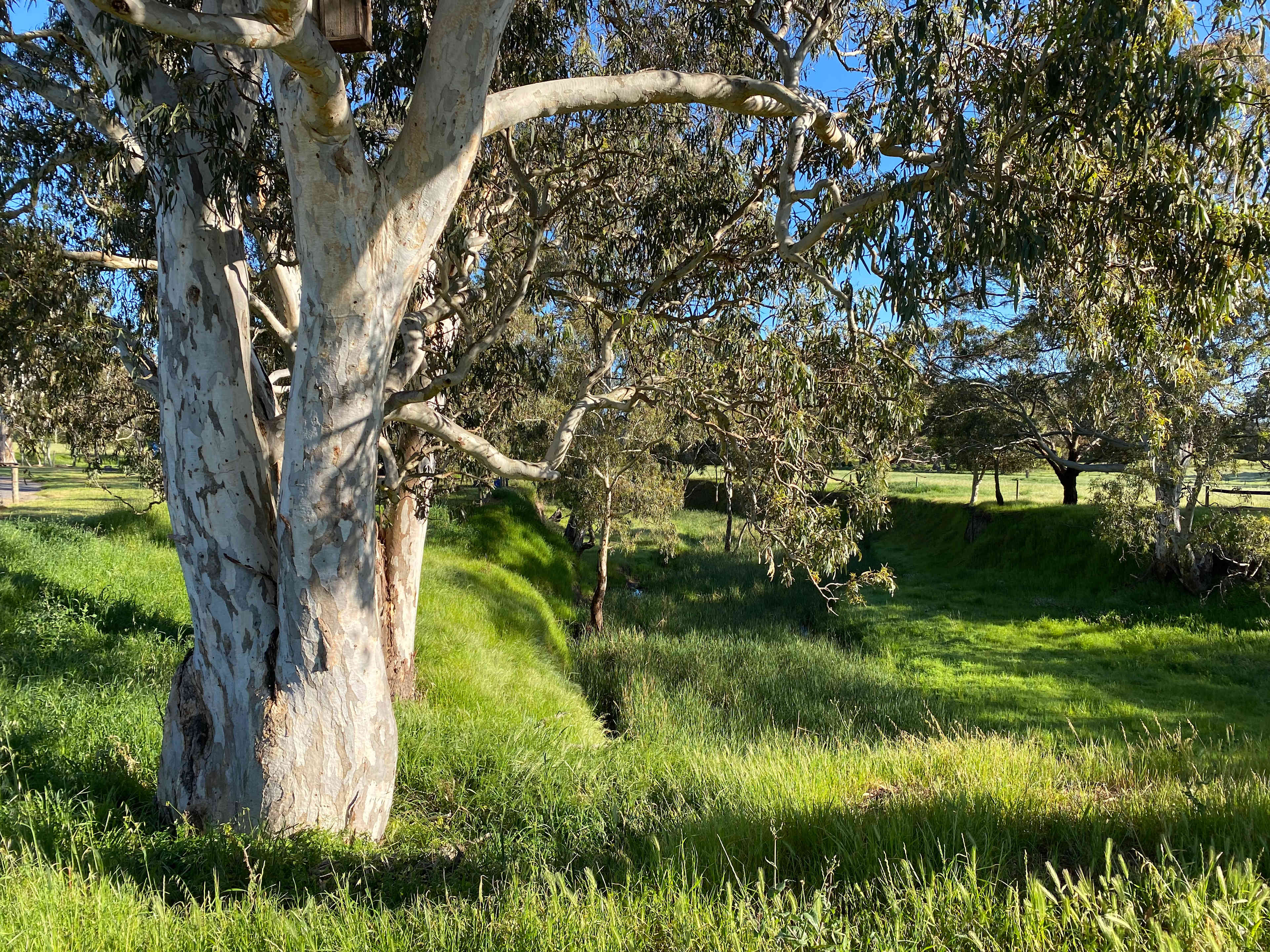 Bunny Beach Farm Stay
