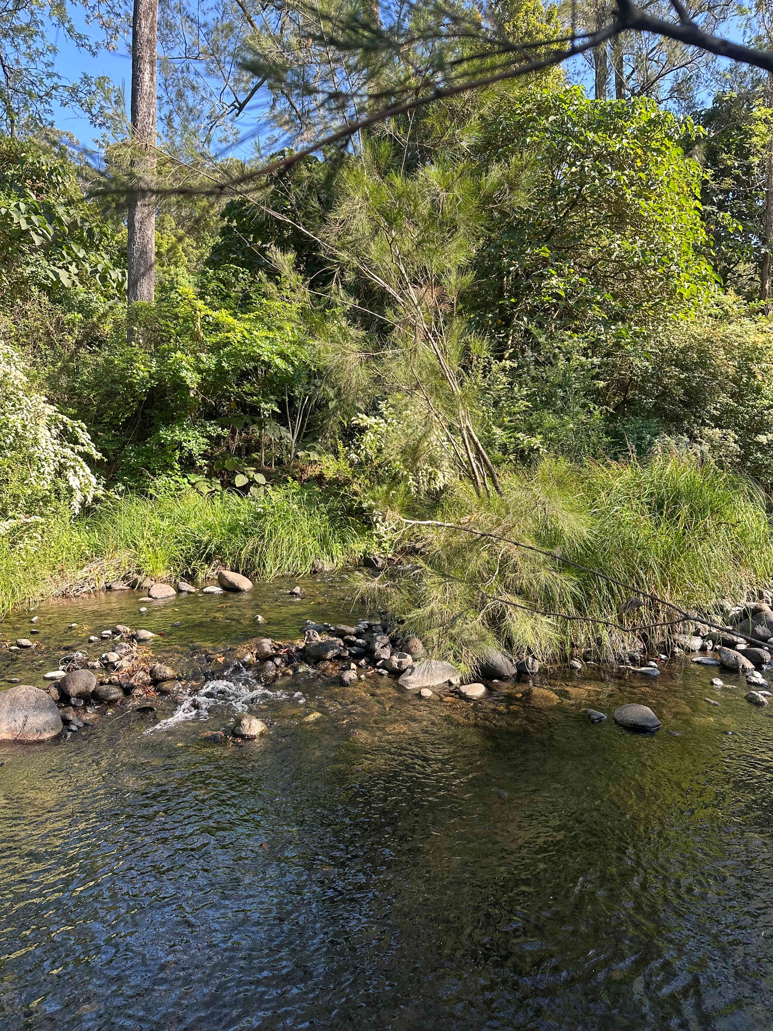 Warrazambil Creek Camp
