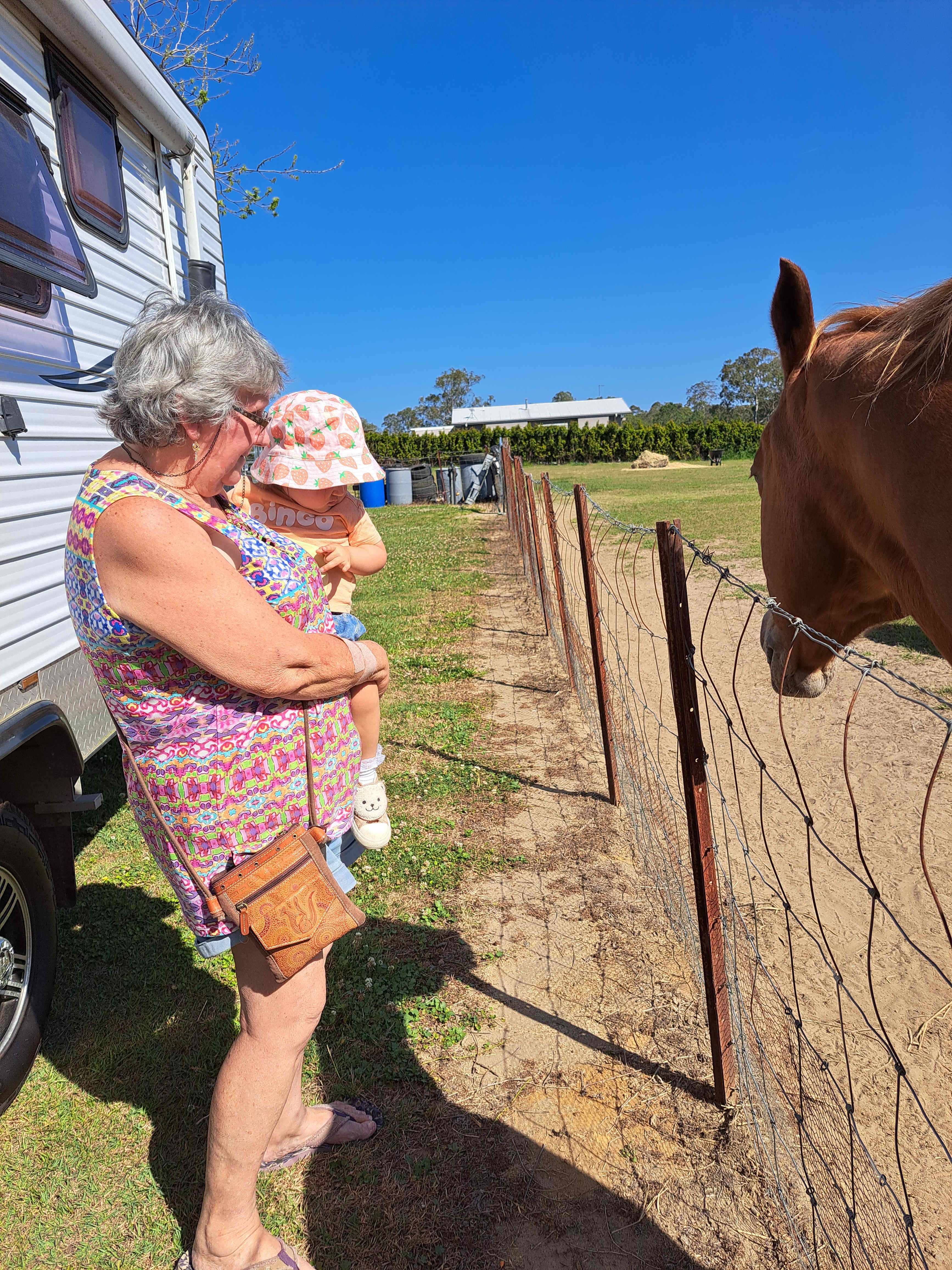 Grandie loved the horses