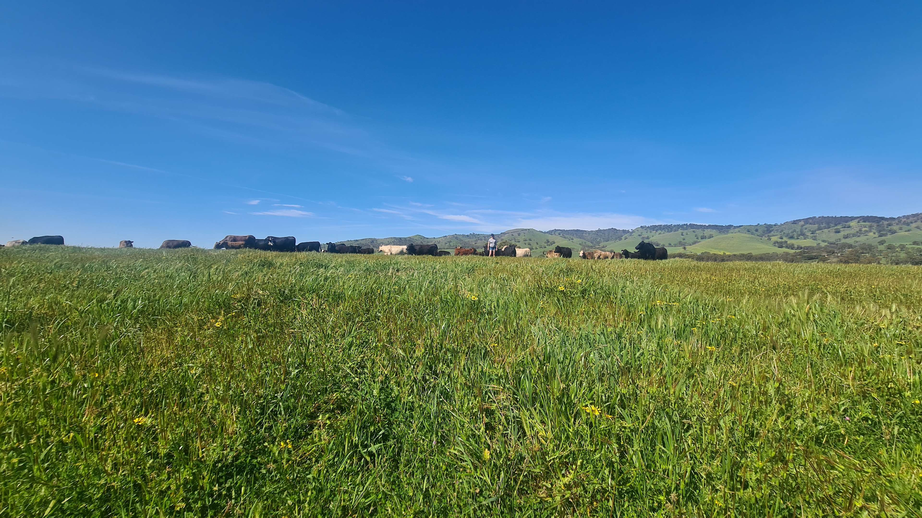 The surrounding land.